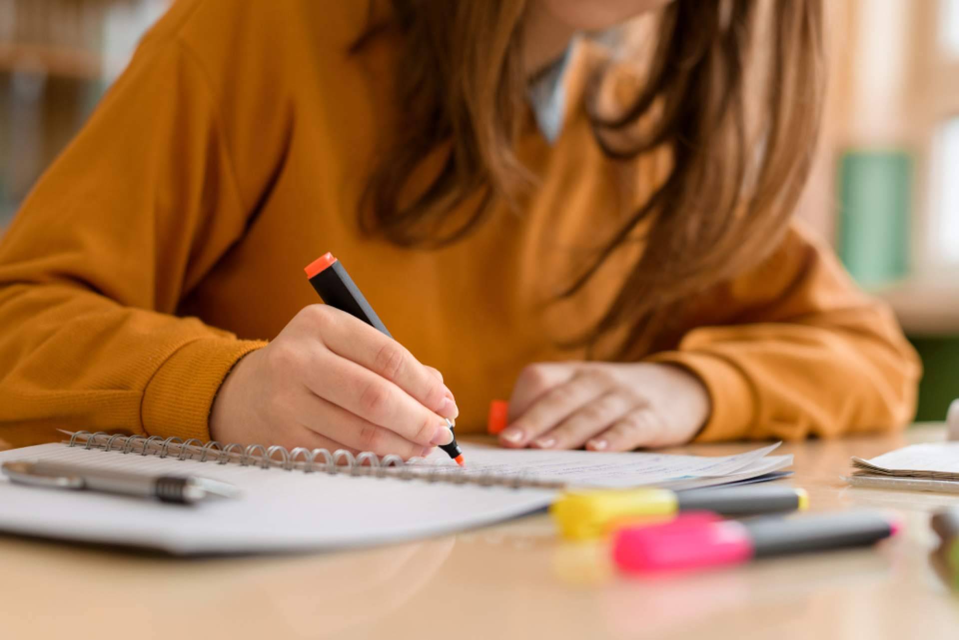 Temarios y manuales elaborados por funcionarios para opositores