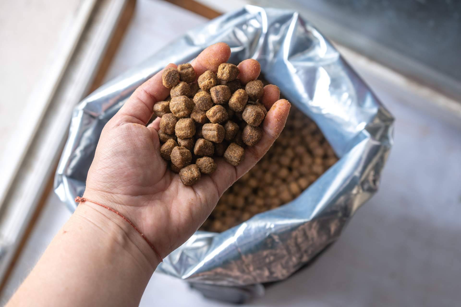 La ayuda de Kaman Pet y su sistema de calidad nutricional Kaman Points para encontrar el alimento ideal para una mascota