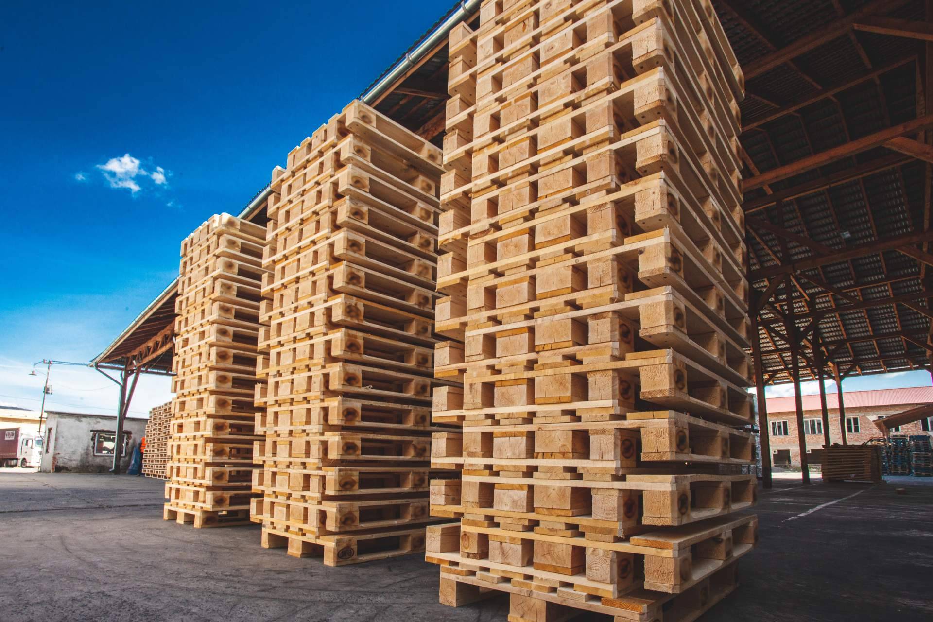 Impulsar el crecimiento sostenible en el sector logístico con los palets de madera eco-friendly