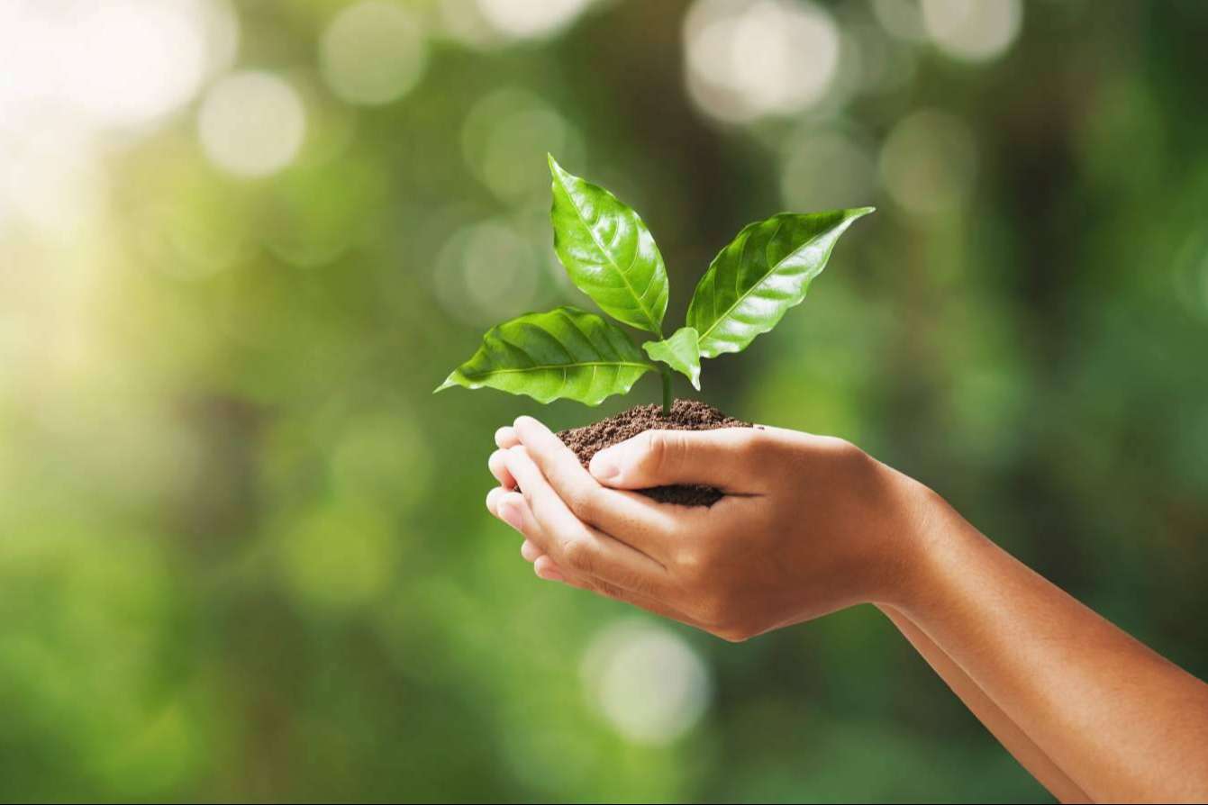 Multienergía Verde afianza su crecimiento y estrategia a largo plazo, siendo compañía Cepyme 500 por tercer año