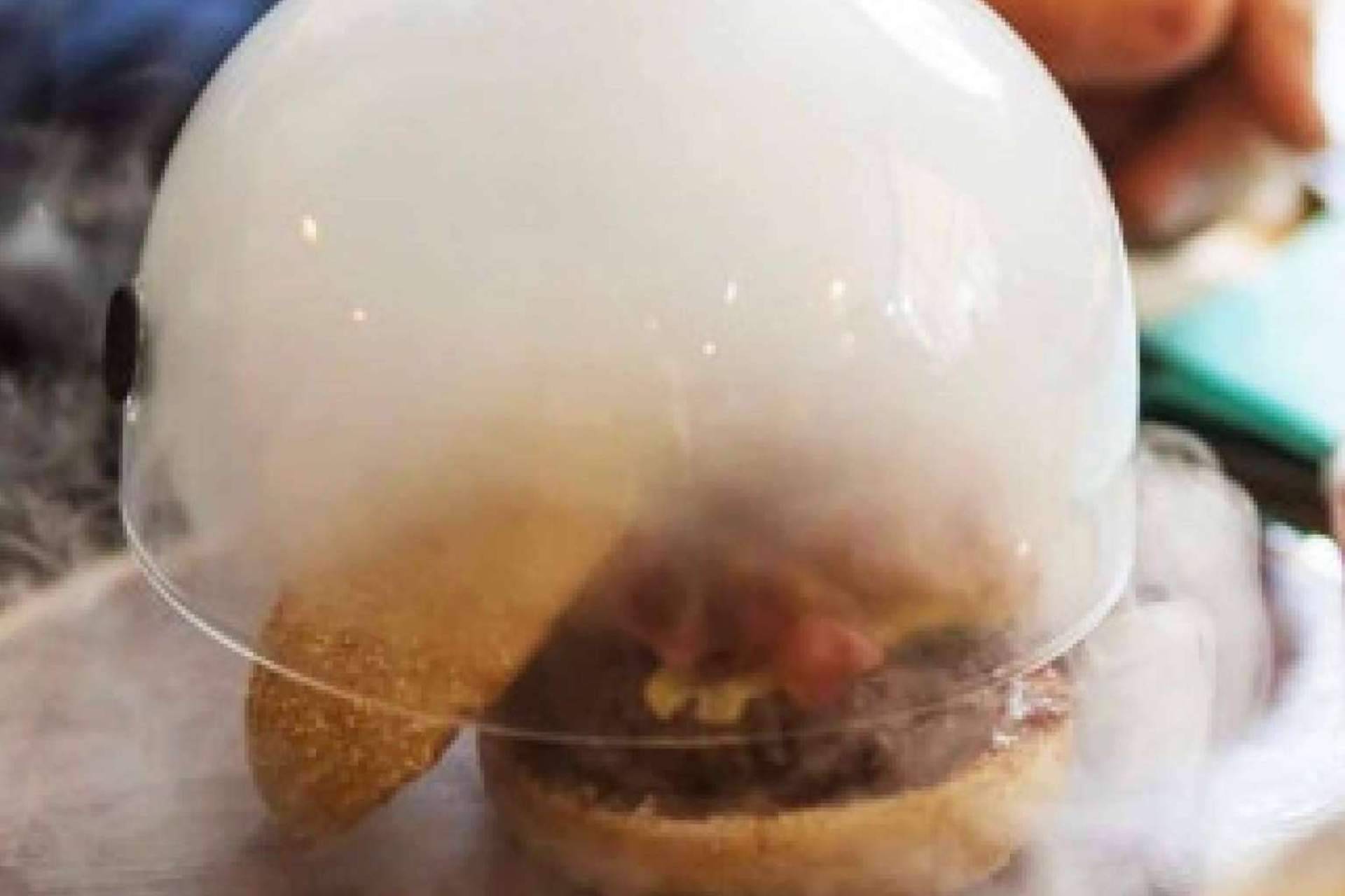 El éxito de Bowie's Meal House se debe a sus hamburguesas de primera calidad
