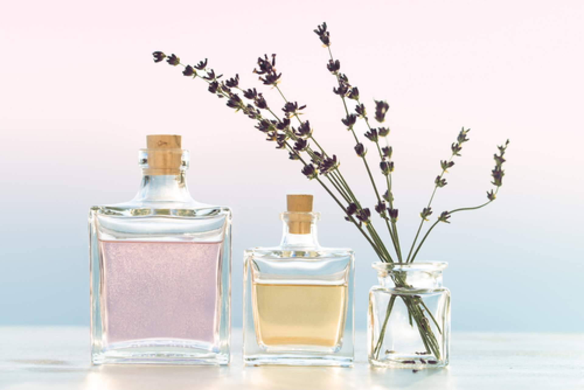 El amplio catálogo de perfumes de equivalencia de Divainparfums