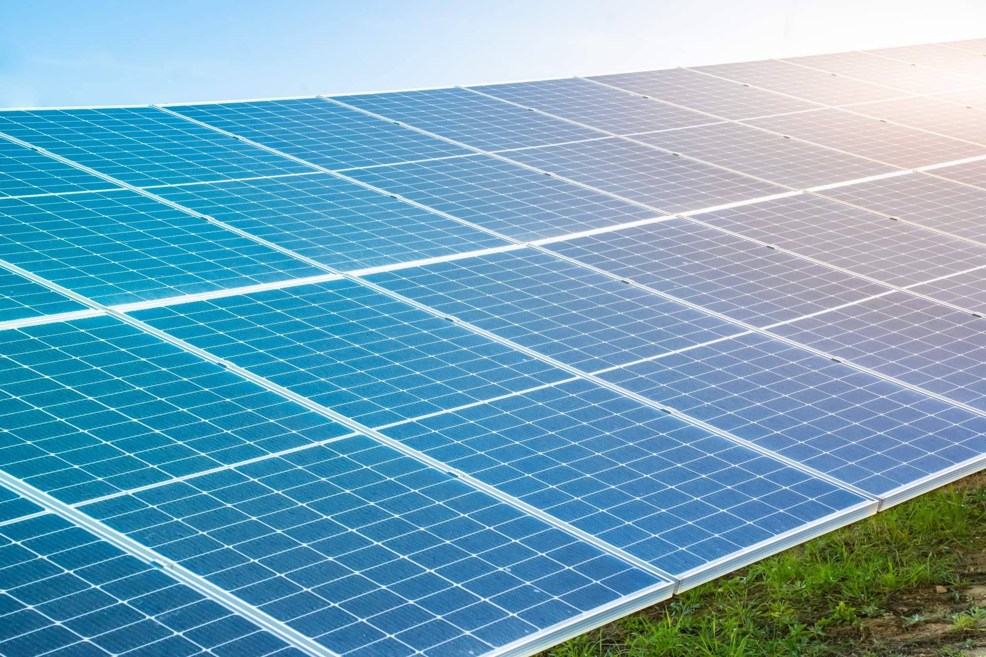 La época más idónea para instalar paneles solares, según Amagi Solar