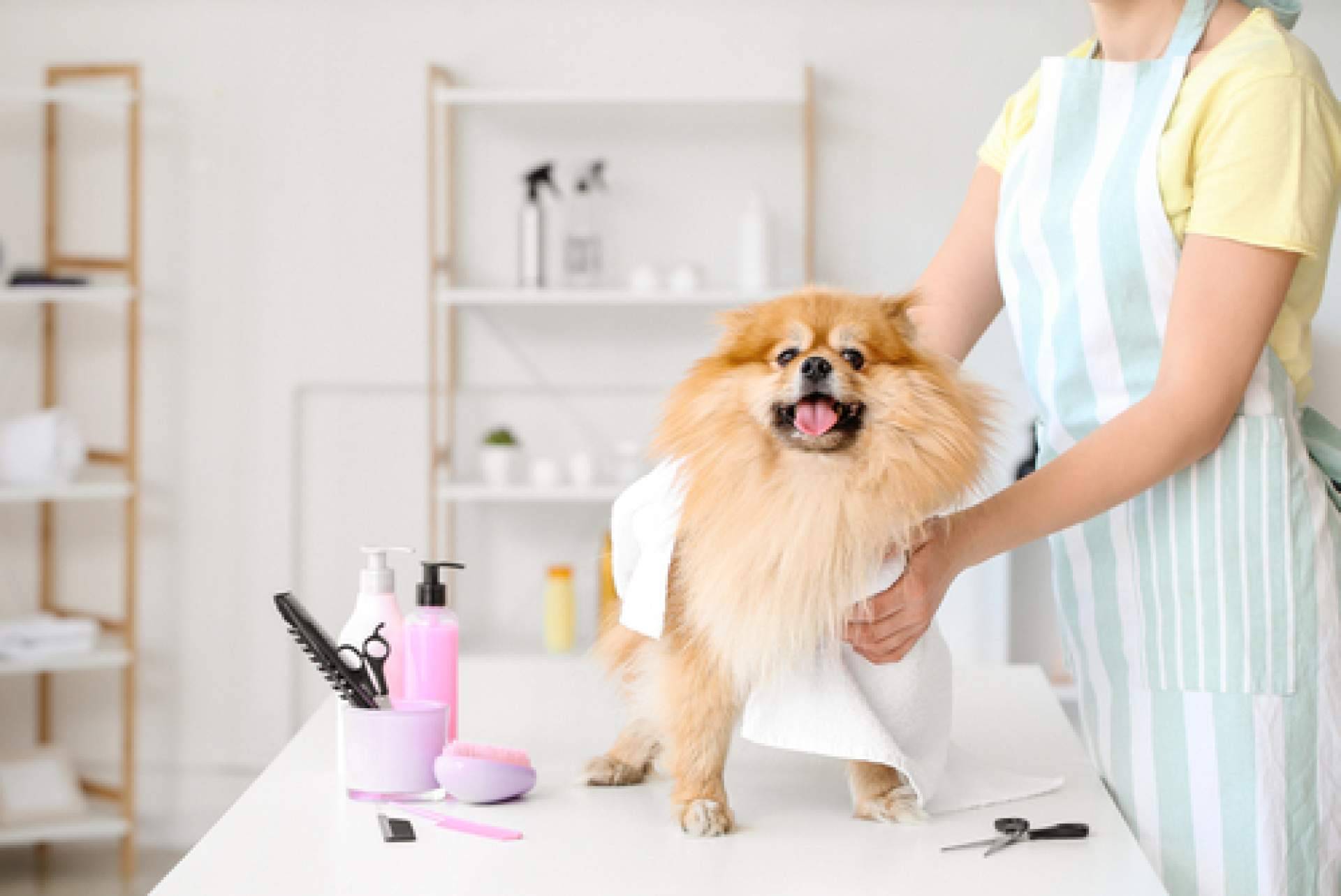 4Huellas es el distribuidor de la marca de productos de cosmética para peluquerías caninas Yuup!