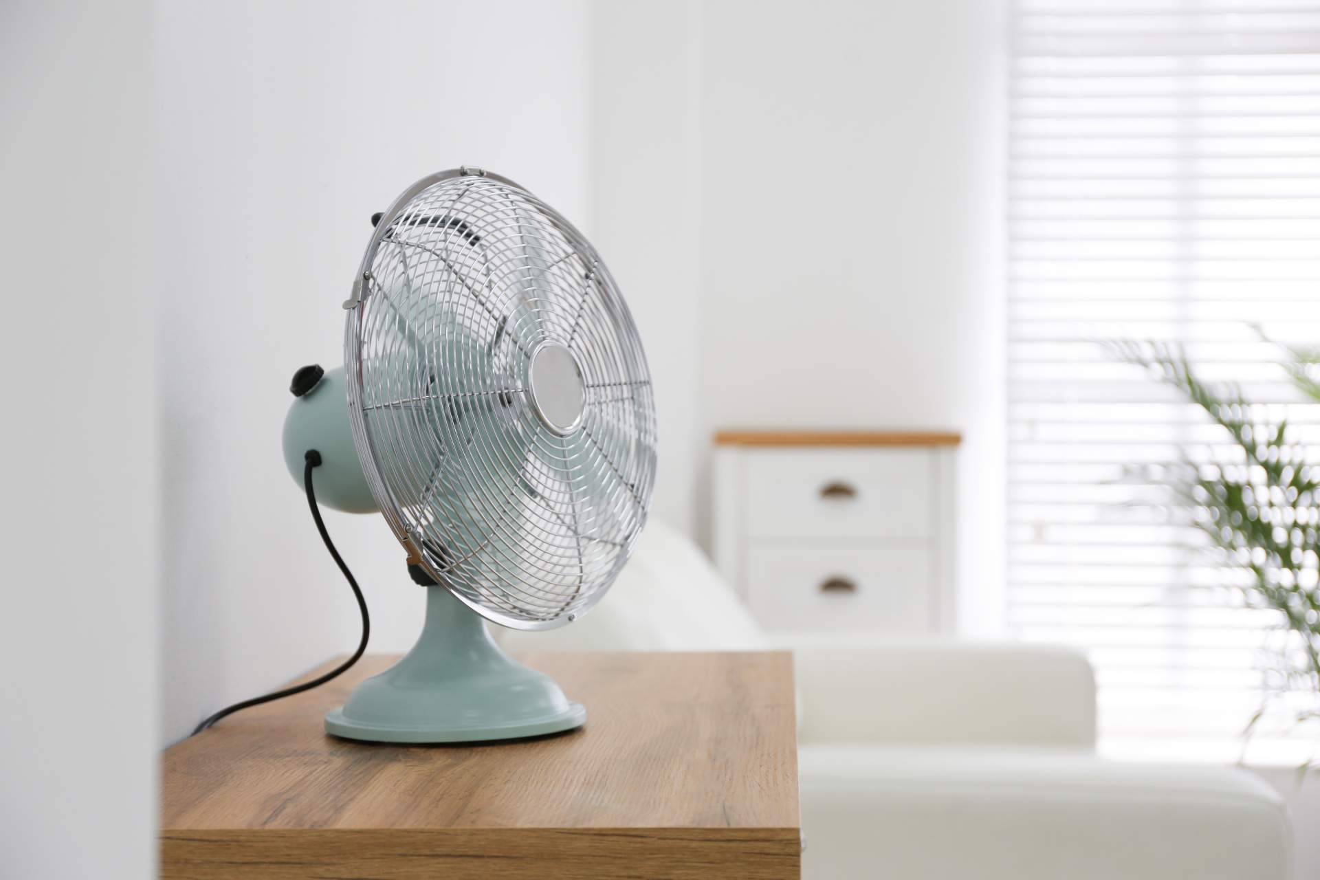 ¿Cómo combatir el calor del verano? Los ventiladores de Tomás Beltrán