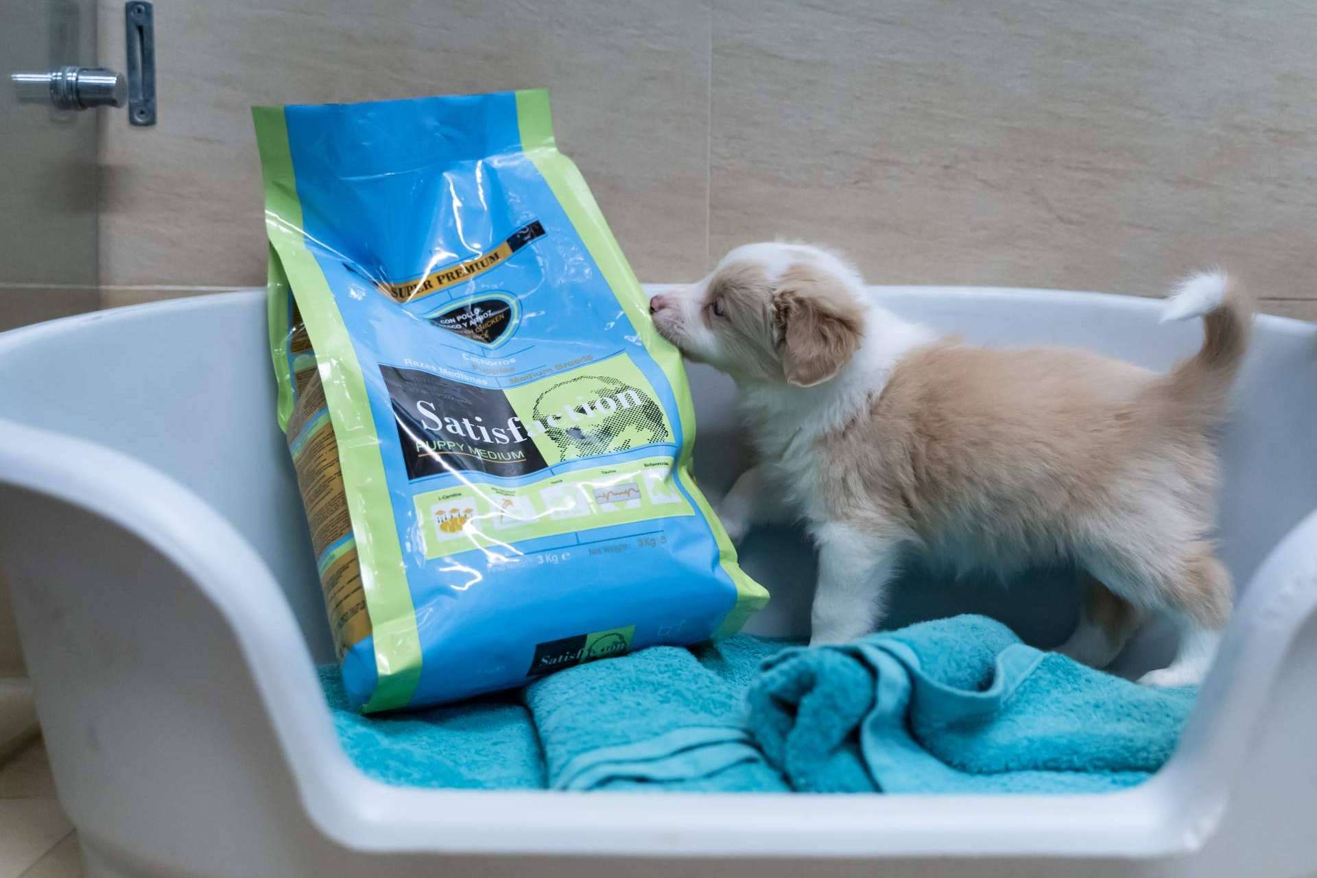 ¿Cuáles son los beneficios de la gama de pienso Satisfaction Super Premium?