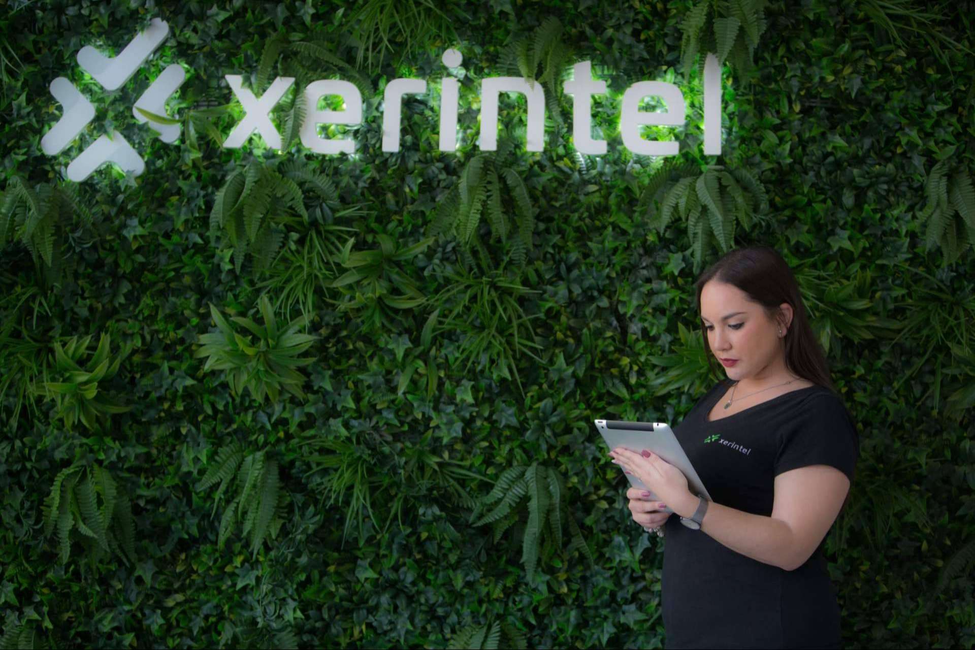 Xerintel, la empresa experta en desarrollo web y app que tiene una puntuación de 4,9 sobre 5,0 en Google