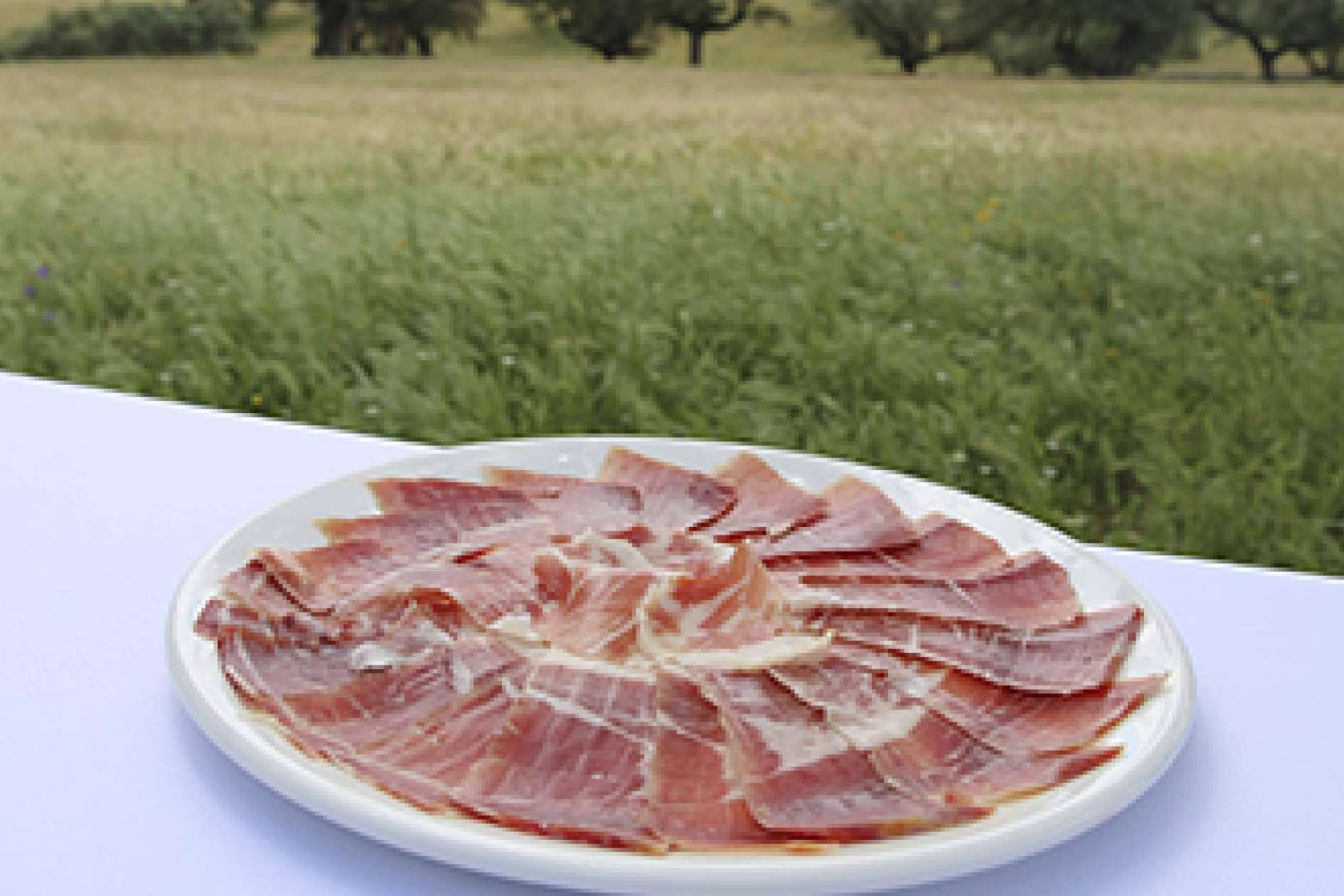 Adquirir jamón ibérico online, bendita locura con Ibericomio