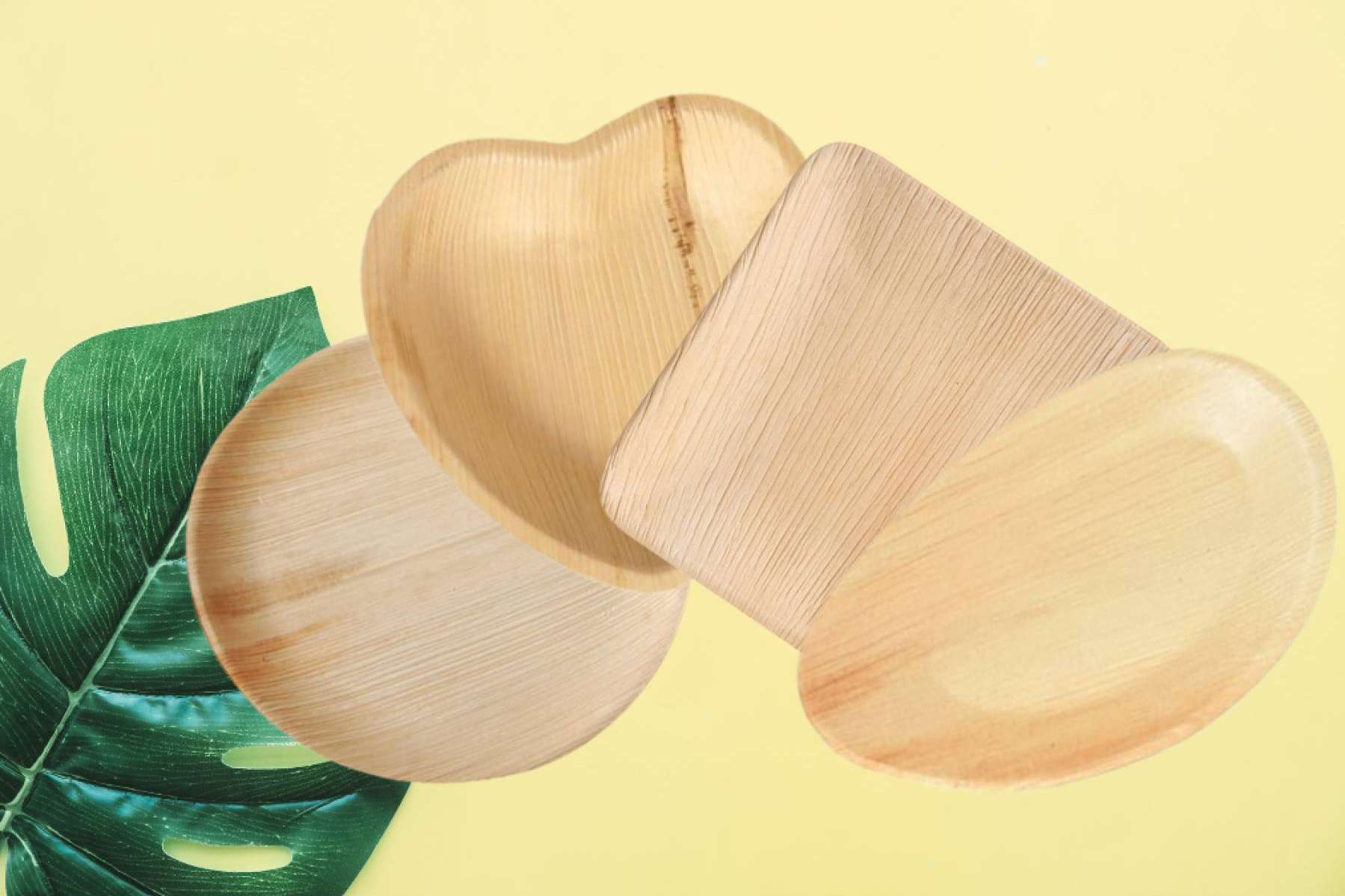 Los principales beneficios de los platos hoja de palma, por Vasomadrid