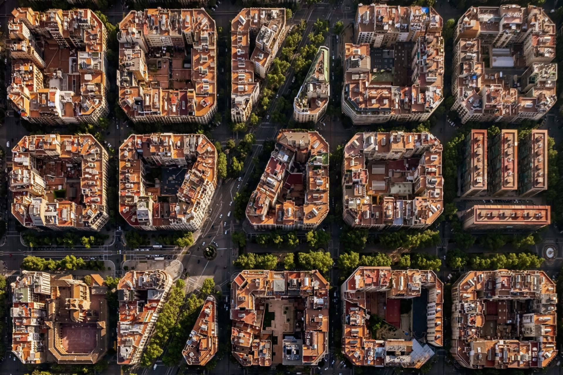 ¿Por qué son importantes las visitas a medida?, las propuestas de Barcelonina
