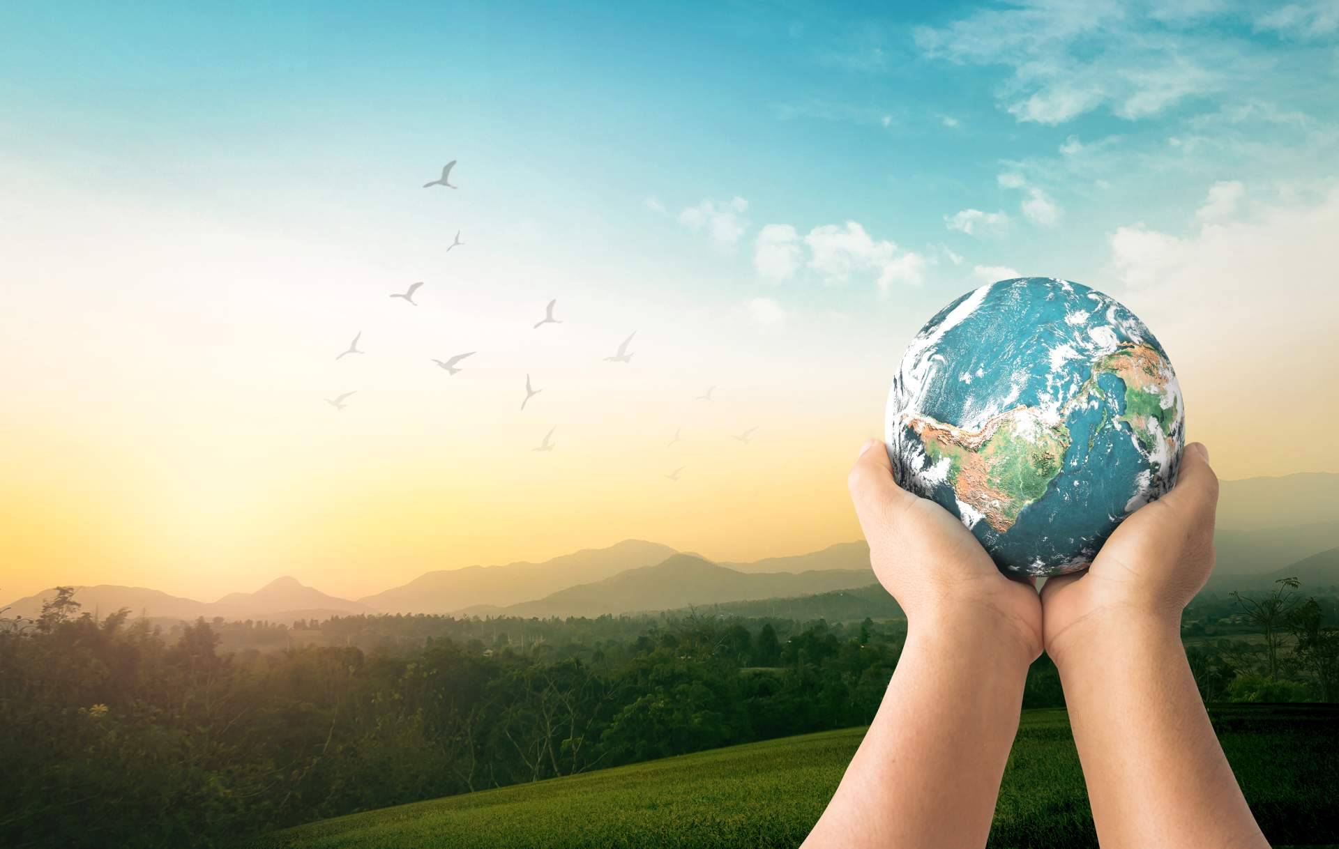 Atención al medioambiente a través de finanzas sostenibles con Safebrok