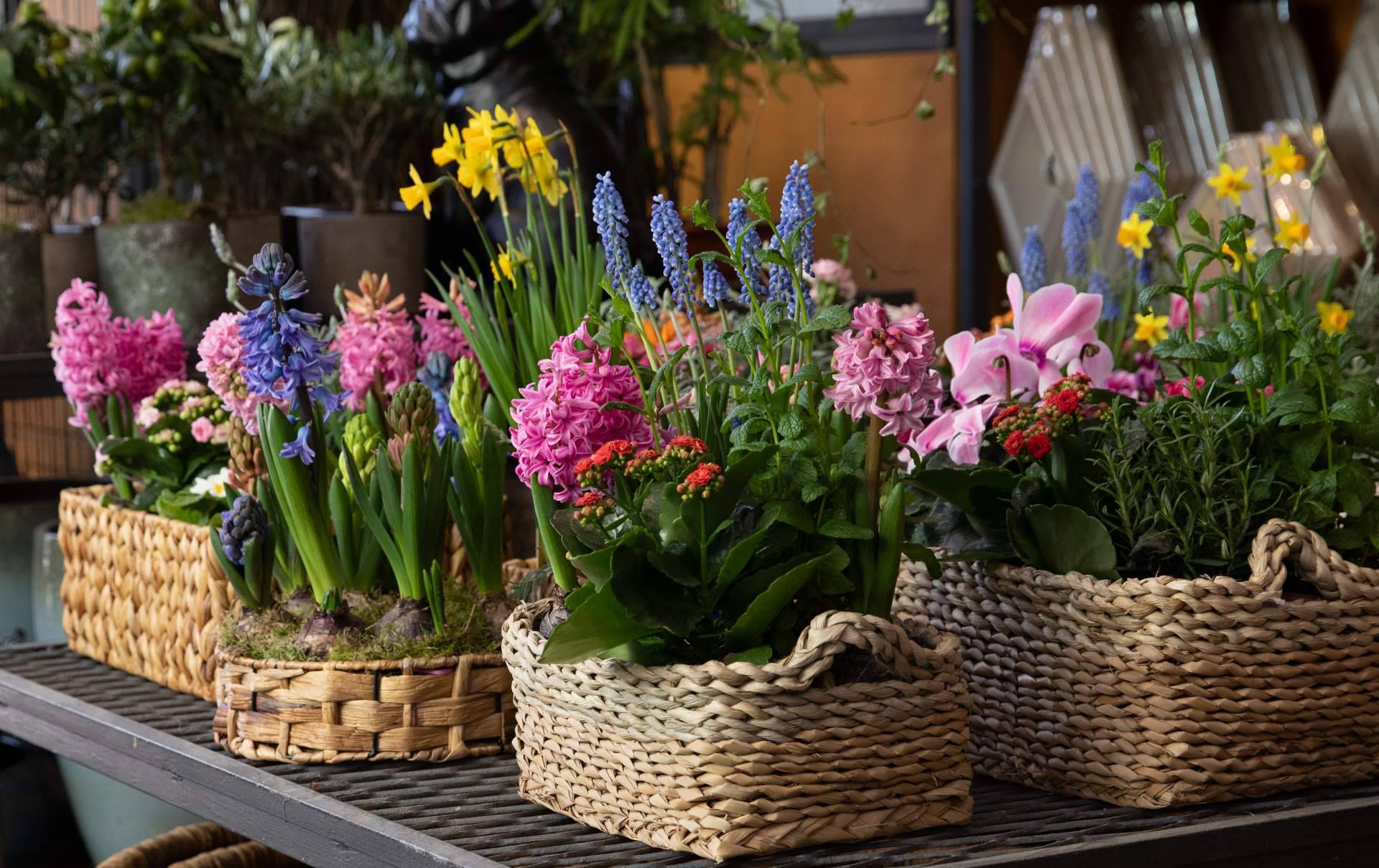 Hogar y Más presenta sus innovadoras propuestas de decoración exterior para disfrutar del verano