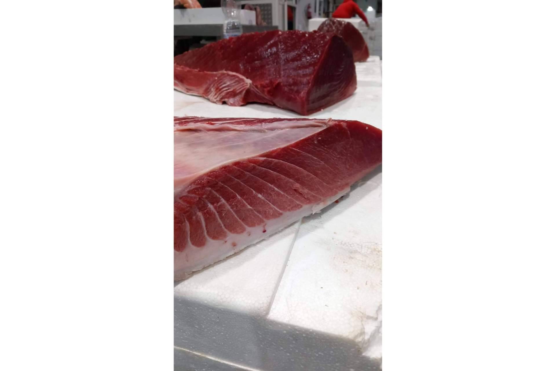 Pescadería Younes Ceuta, género de calidad y a buen precio