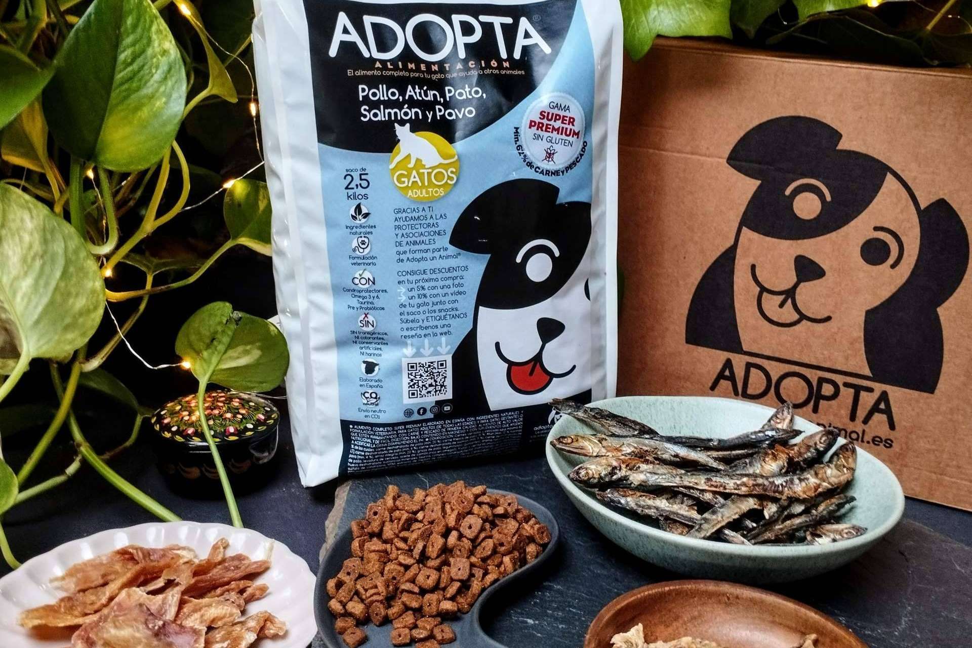 Información sobre el pienso extra de carne para gatos que está revolucionando la alimentación felina