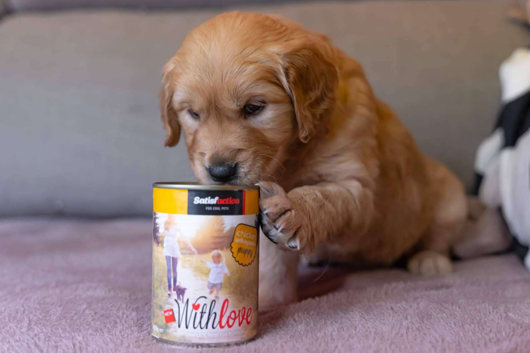 La nueva gama de comida húmeda para perros y gatos de Satisfaction, With Love