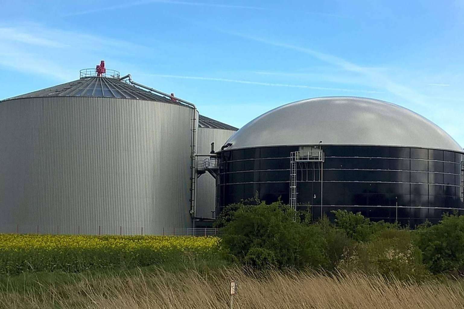 Calpech explora el creciente interés en los biodigestores y sus beneficios