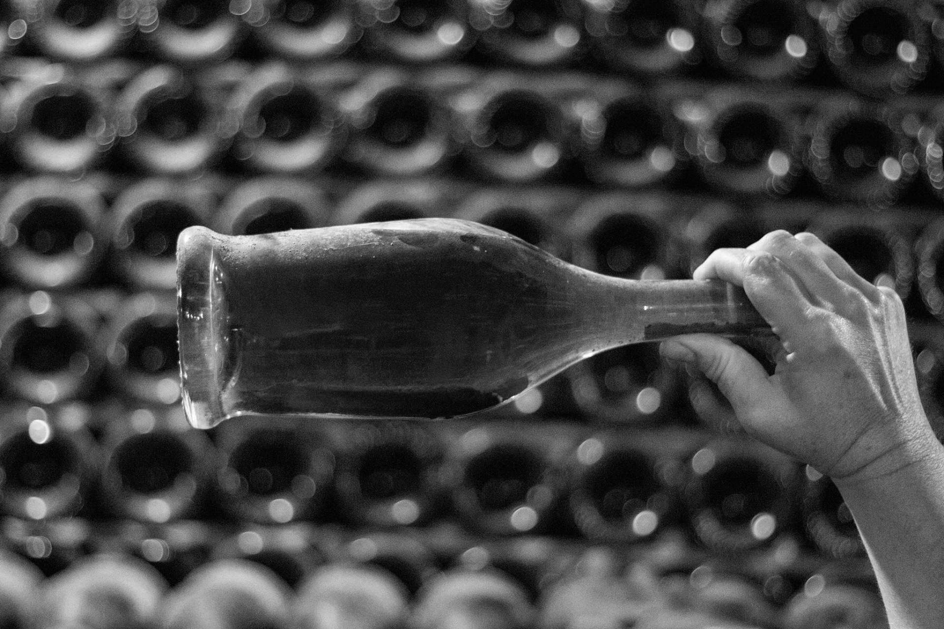 Selección de cava Robert J. Mur en Naturelovers Wines