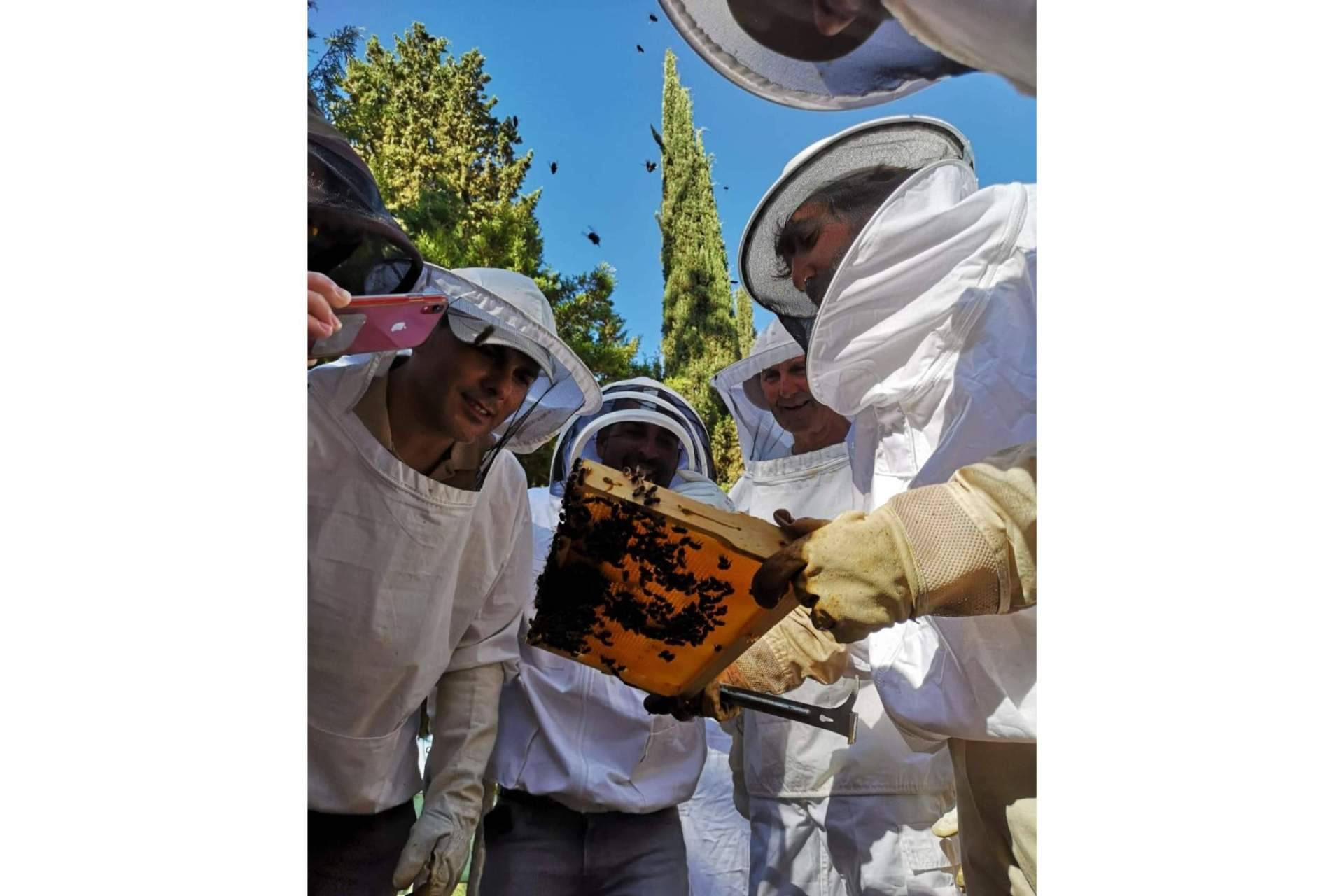 Cursos de Apicultura sobre el papel de las abejas para la seguridad alimentaria y la vida saludable