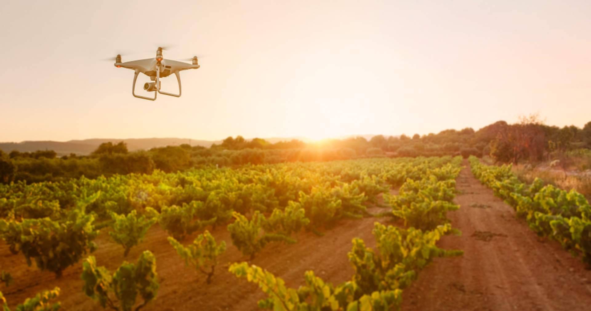 Obtención de licencias para el uso de drones, de la mano de What The Quad