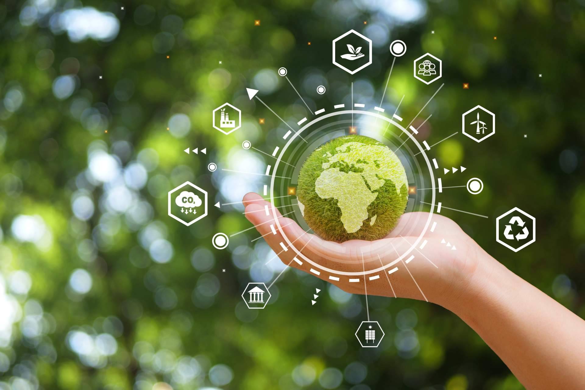 La importancia de reducir la huella de carbono; elalquilador.com se enfoca en este compromiso