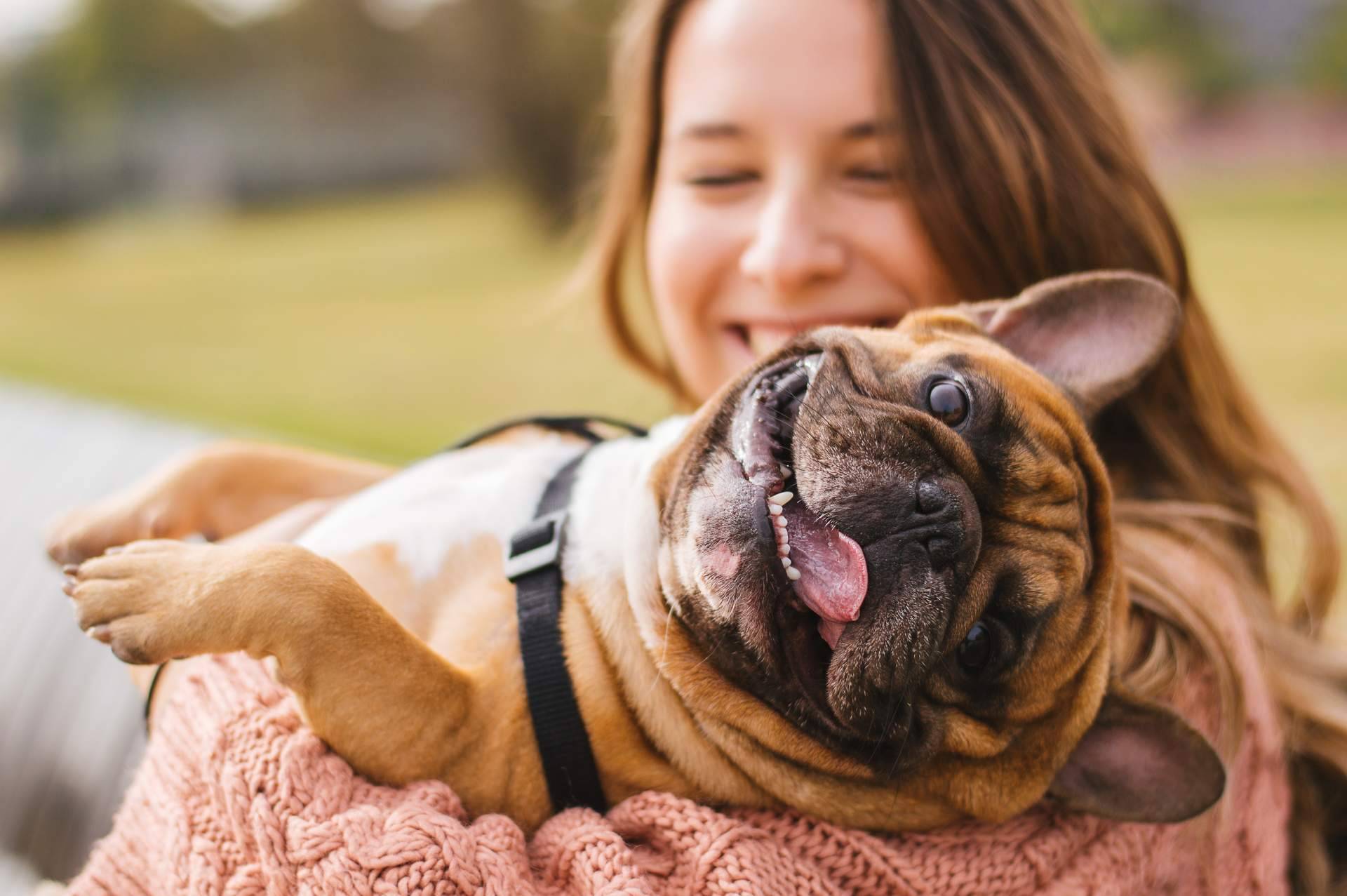El amor y el adiestramiento no son suficientes para tener el perro deseado