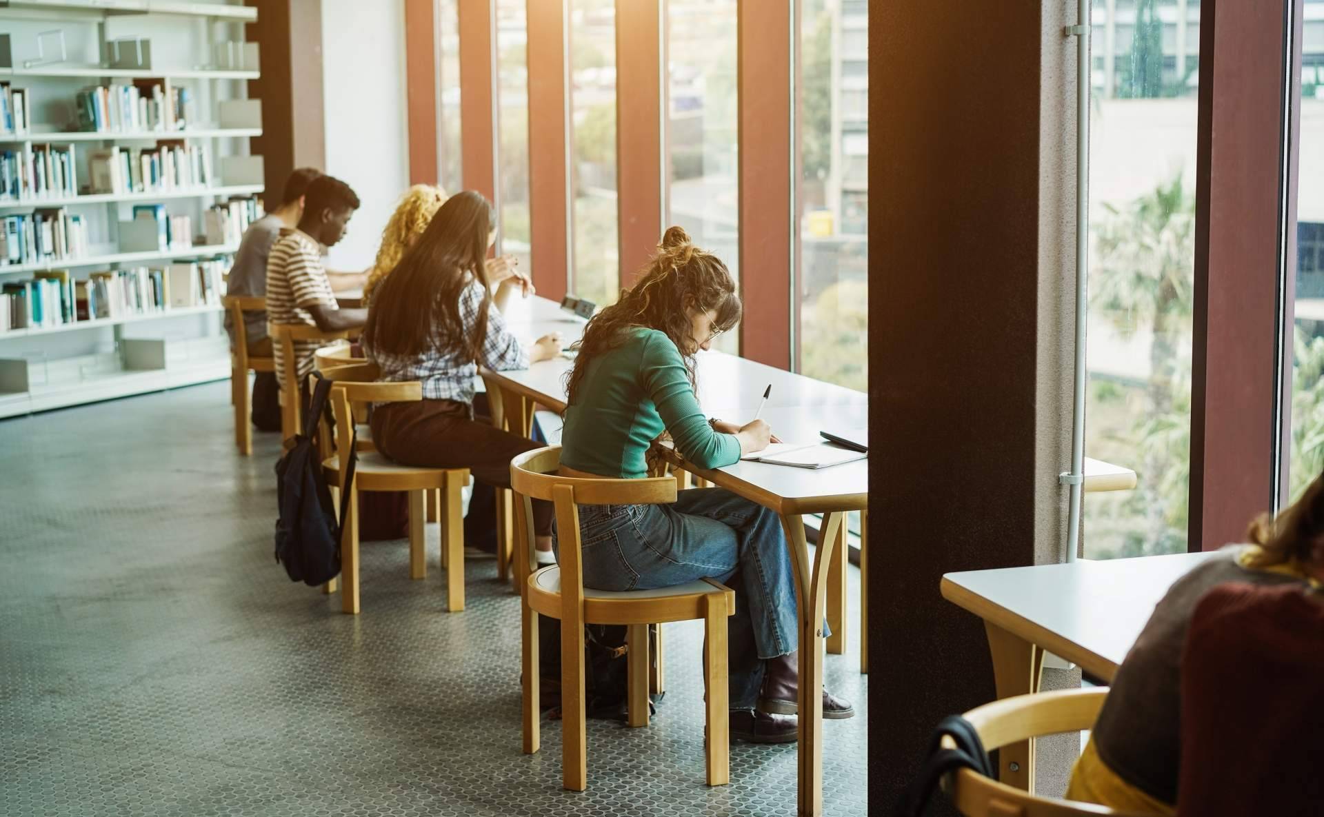 Ayuda Universitaria; asesoría para estudiantes de Navarra en la elaboración de su TFG