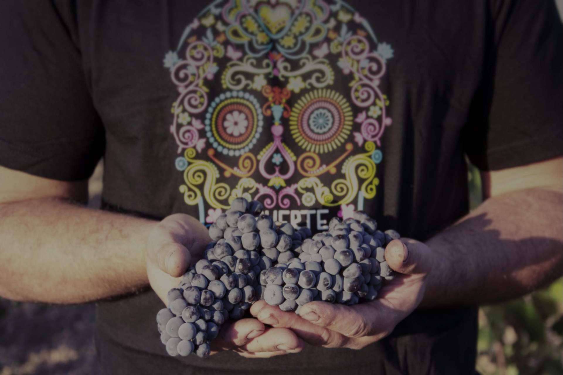 La uva Monastrell es la joya enológica que protagoniza los vinos de DEMUERTE WINES