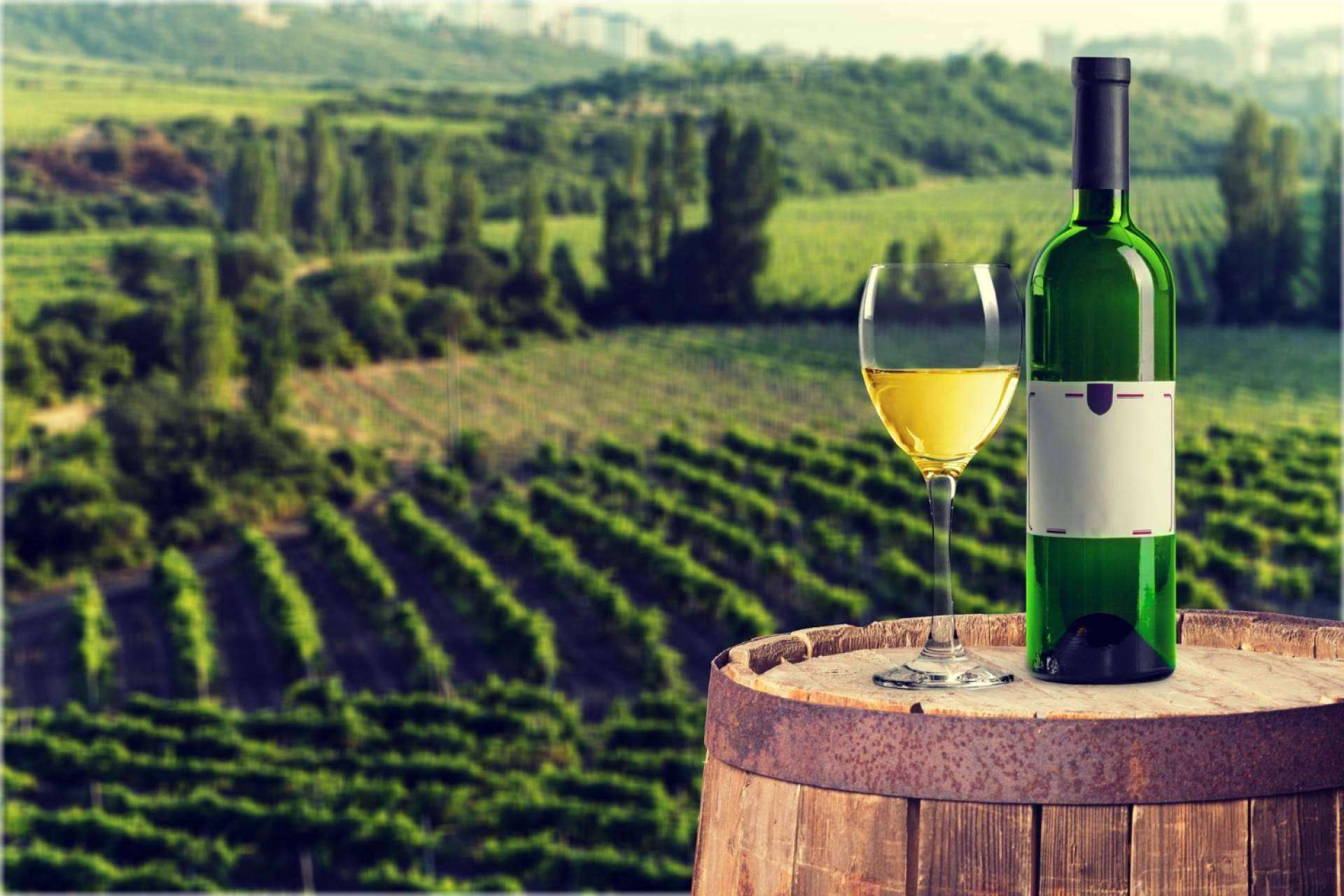 Llega la tecnología que acabará con las multas en bodegas