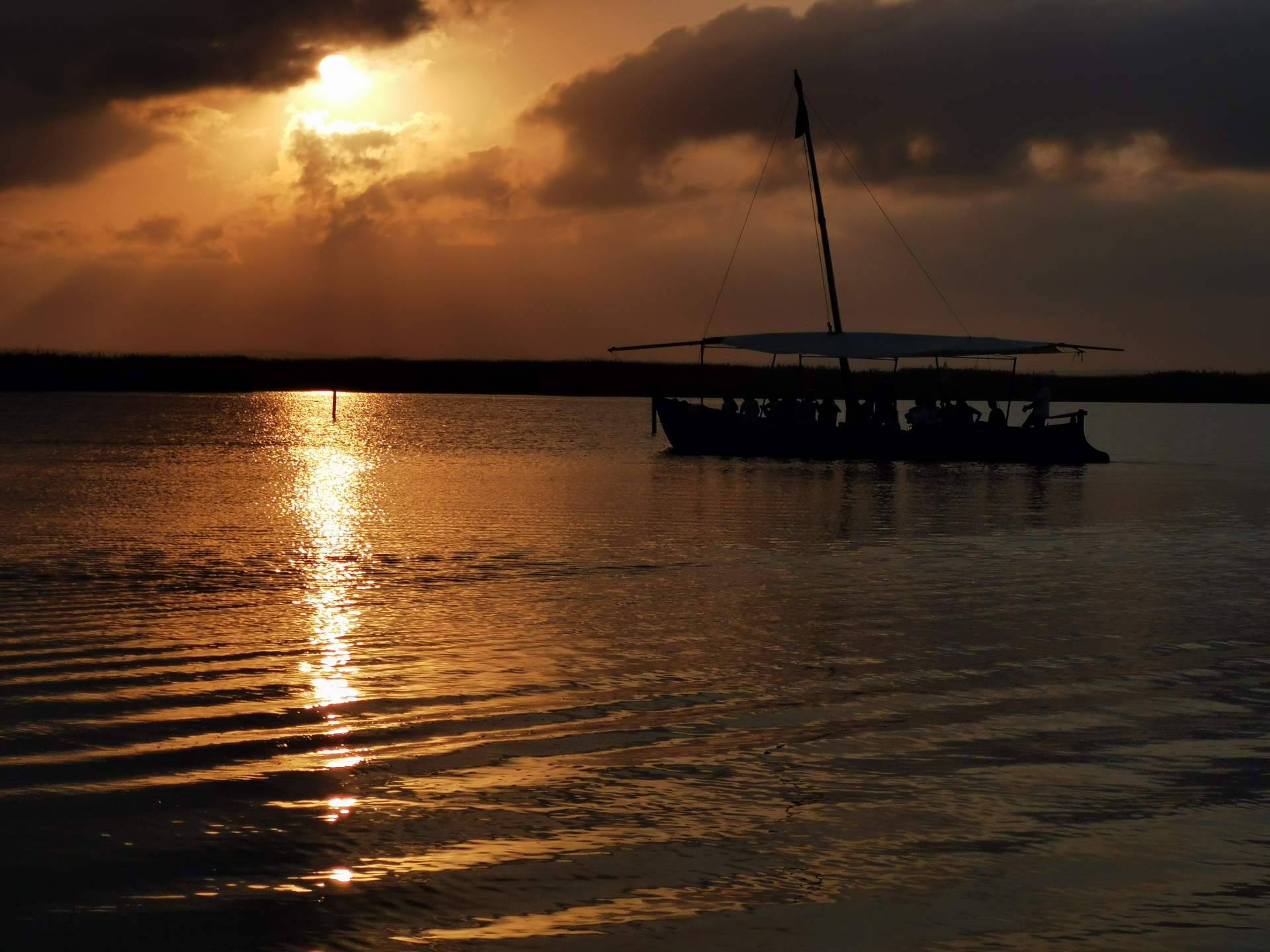 Visitar La Albufera en barca es un plan ideal en verano, con Albumar