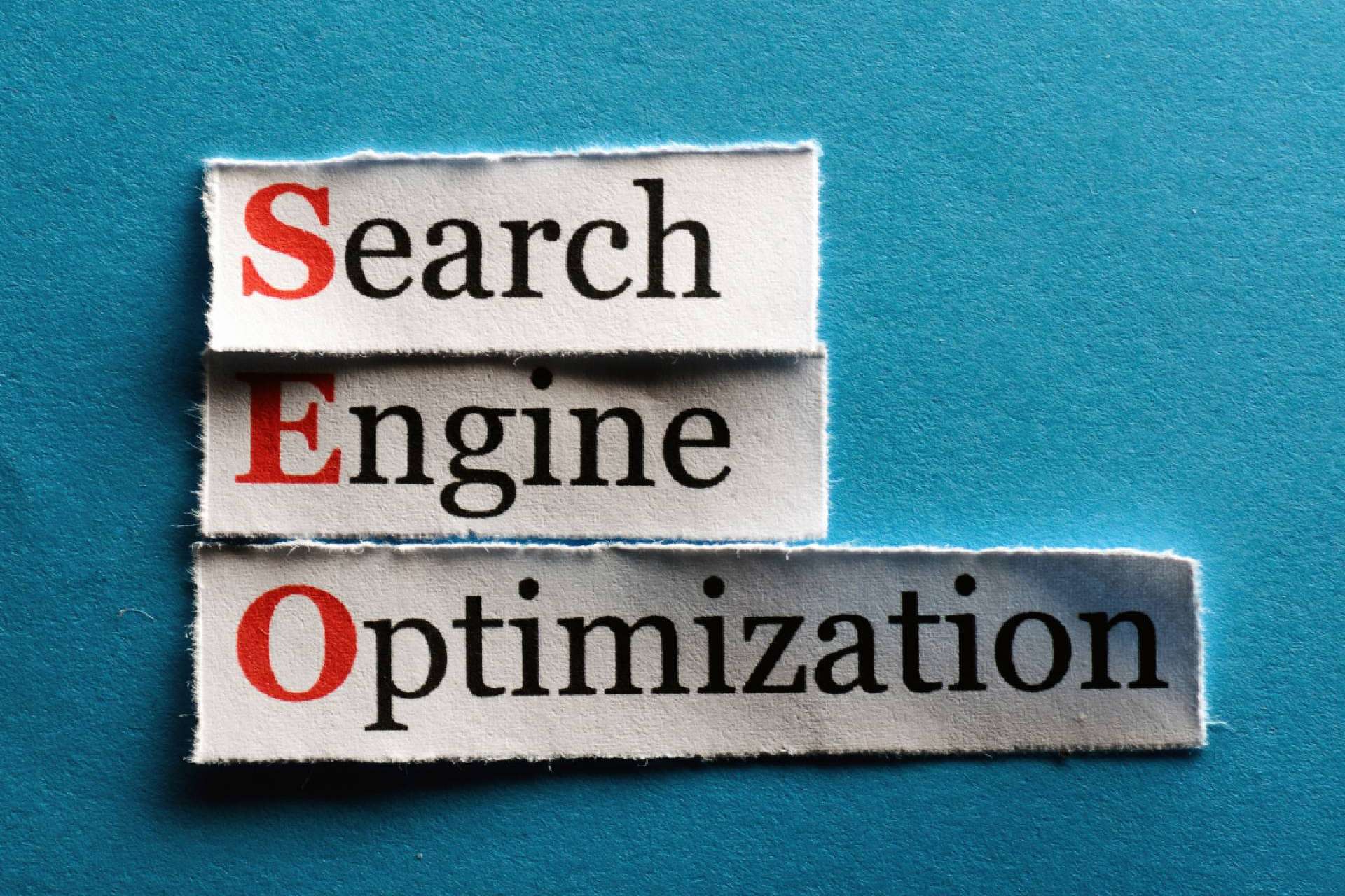 THK Frog sobre la importancia del posicionamiento SEO
