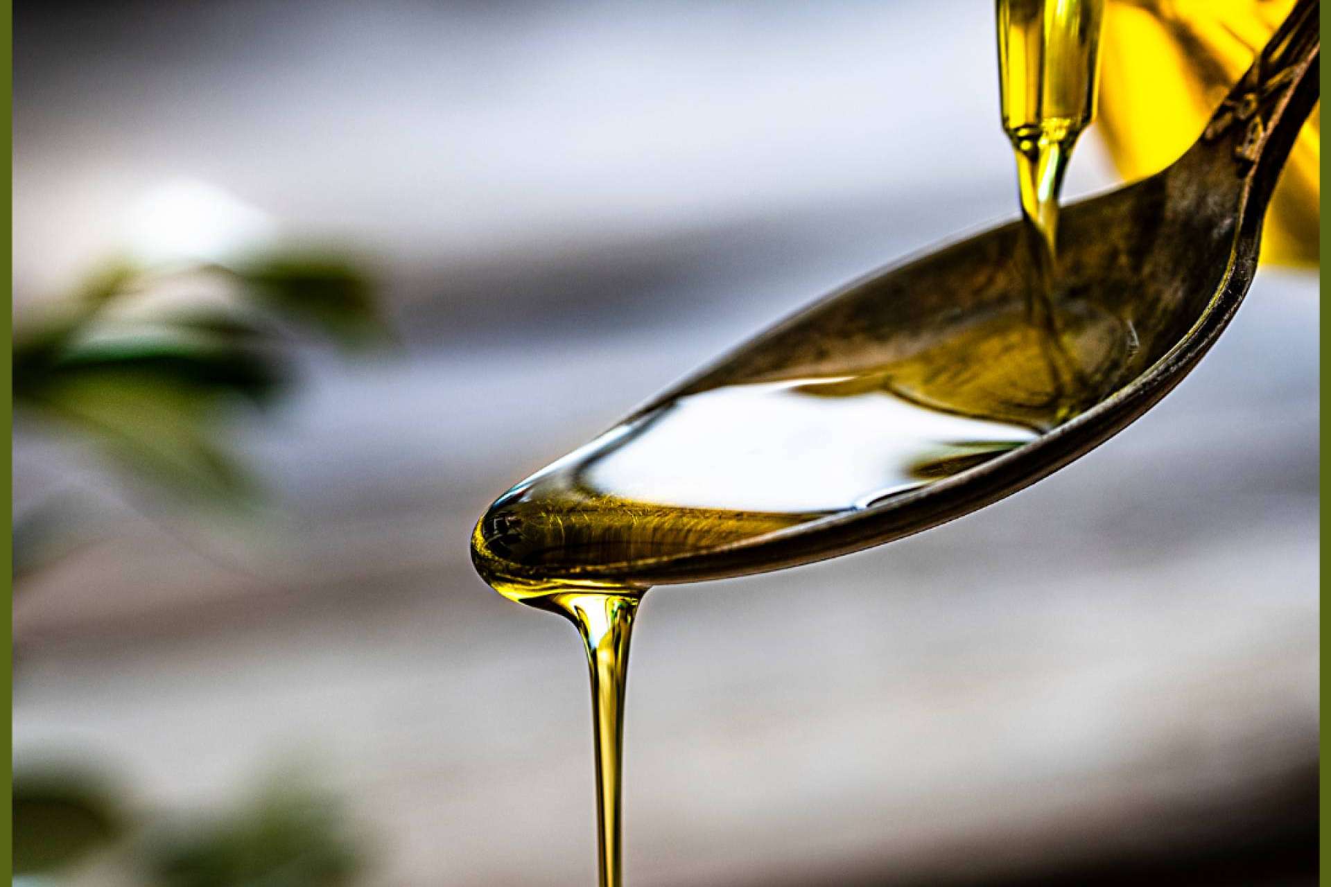 ¿Dónde comprar aceite de oliva extra virgen? La tienda online Olipaterna