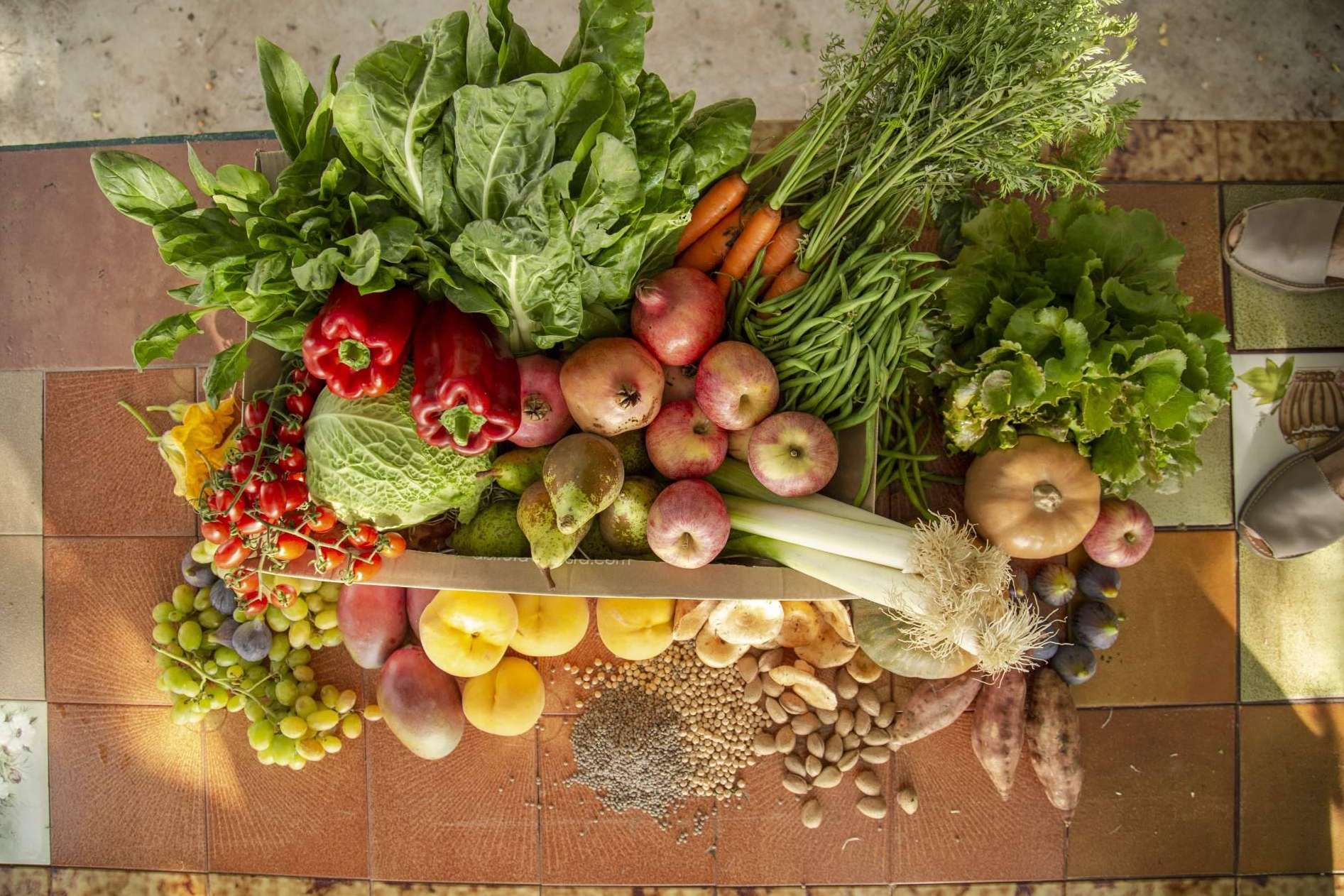 El lema de Disfruta y Verdura ¡Del huerto a la mesa!
