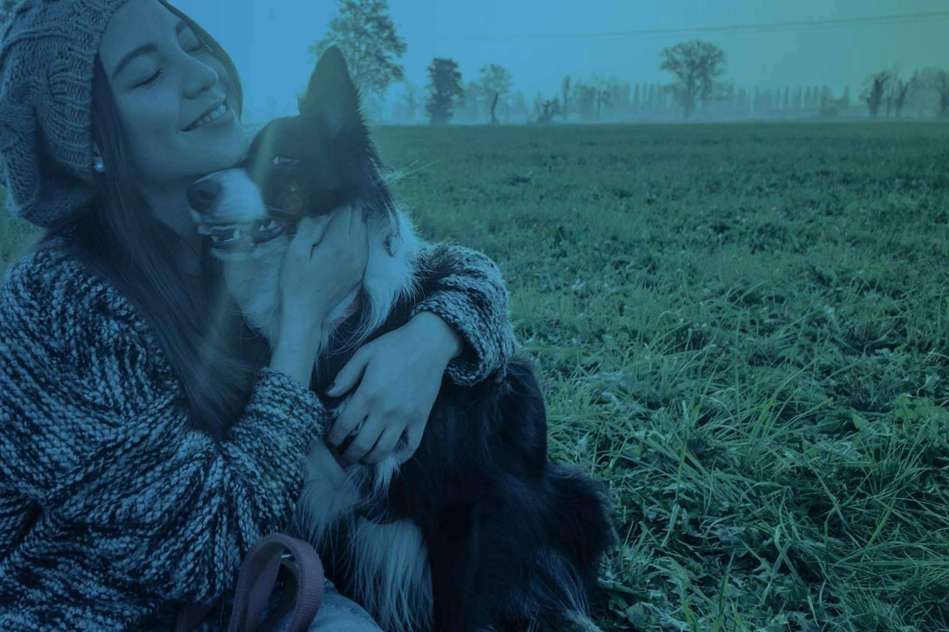 La formación en etología canina que ofrece Vet Formación