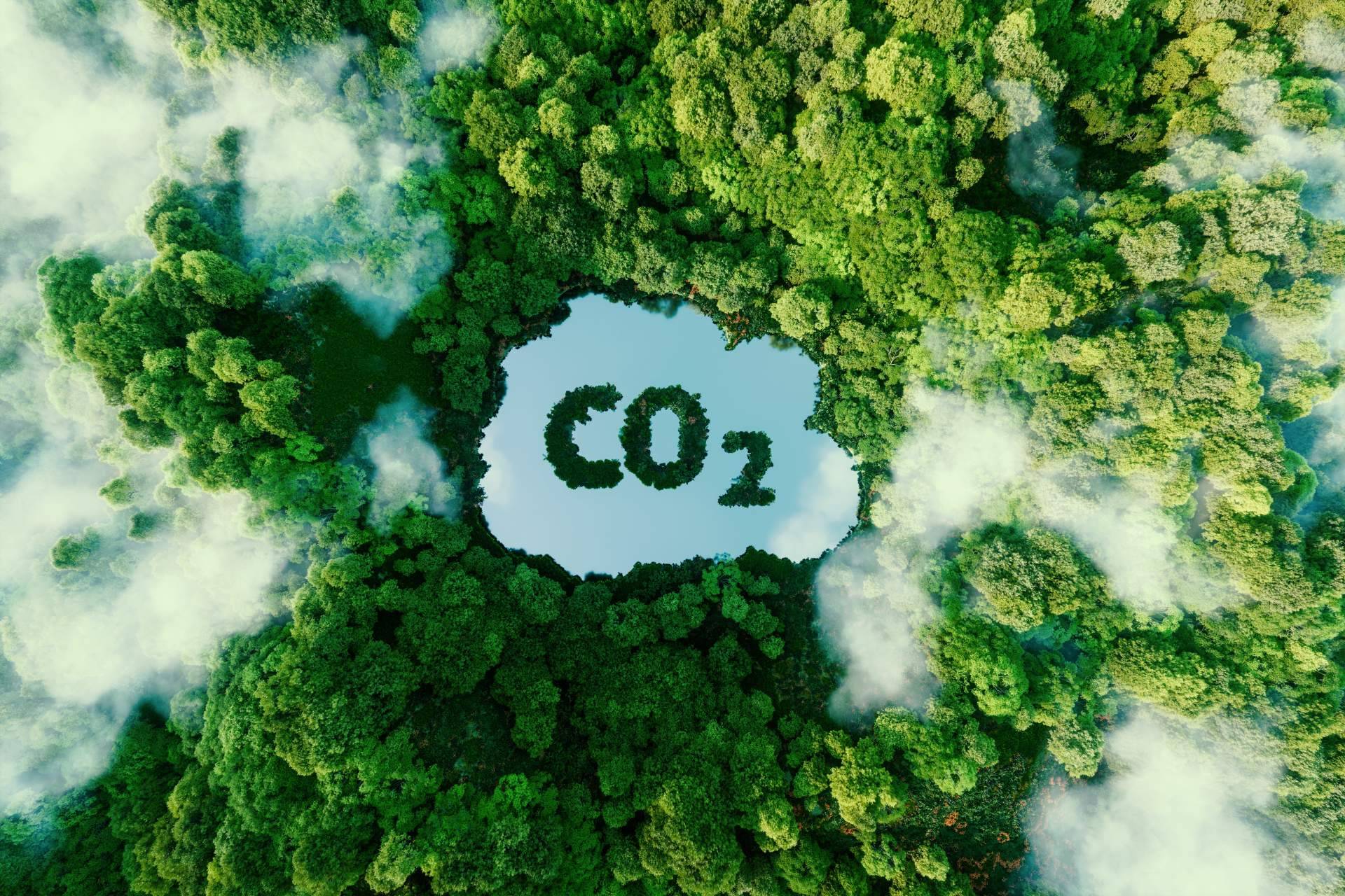 InPost pasa a realizar envíos sin etiquetas para ahorrar papel y reducir las emisiones de CO2