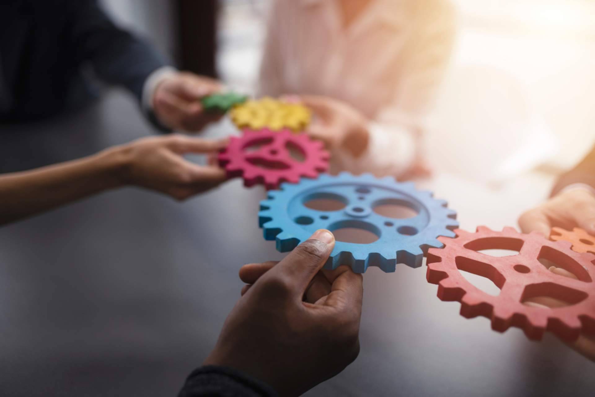 El ciclo formativo de técnico en integración social que ofrece EEP iGroup