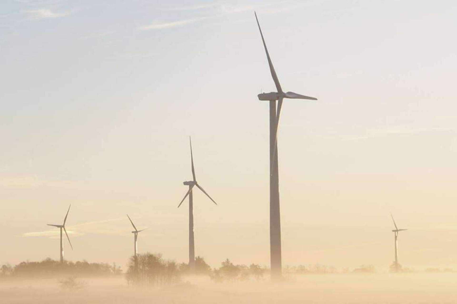 La plataforma dedicada a comunicar el impacto ambiental de las pymes, Dcycle