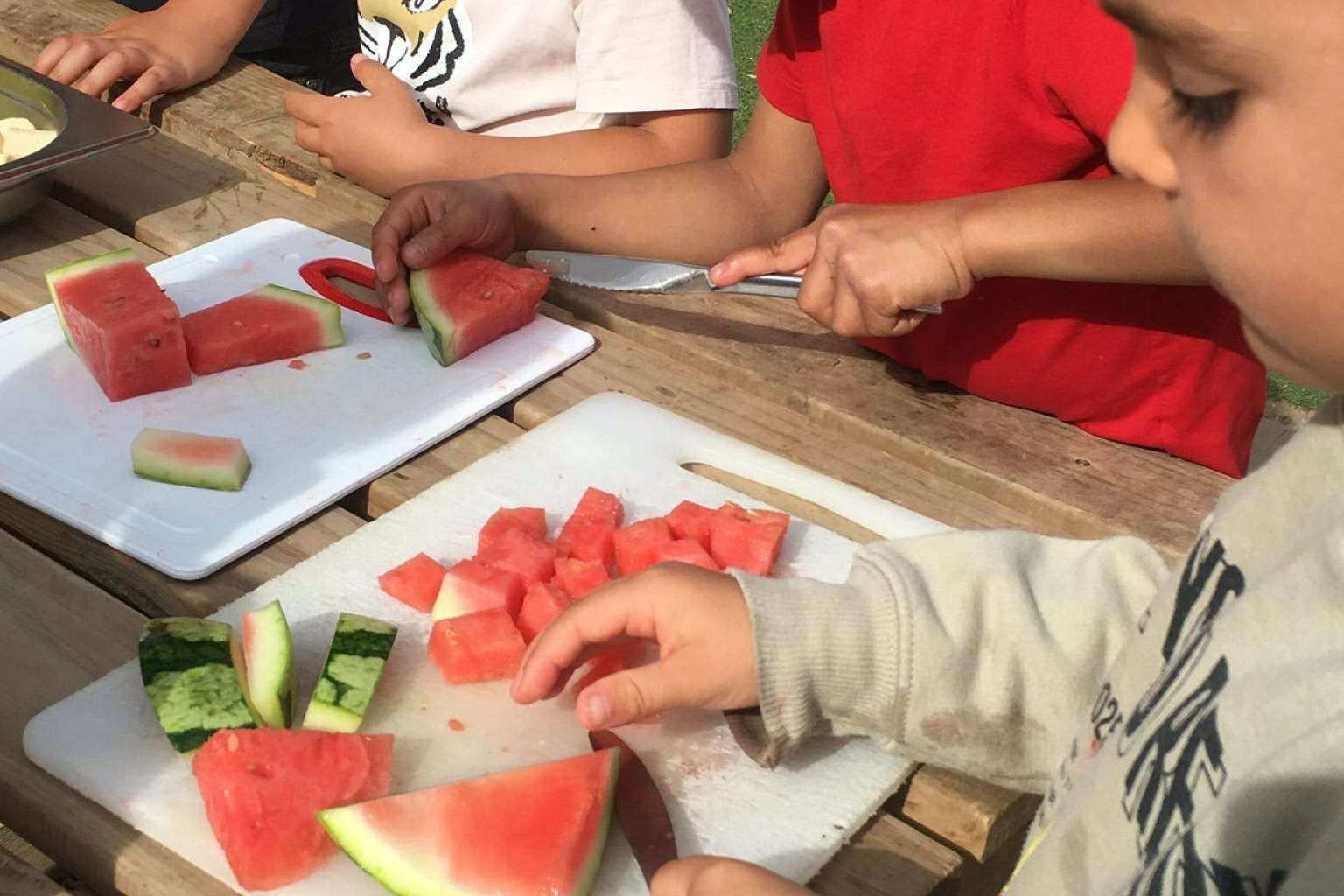 Menús veganos y vegetarianos, con adaptaciones a alergias, con Creanova