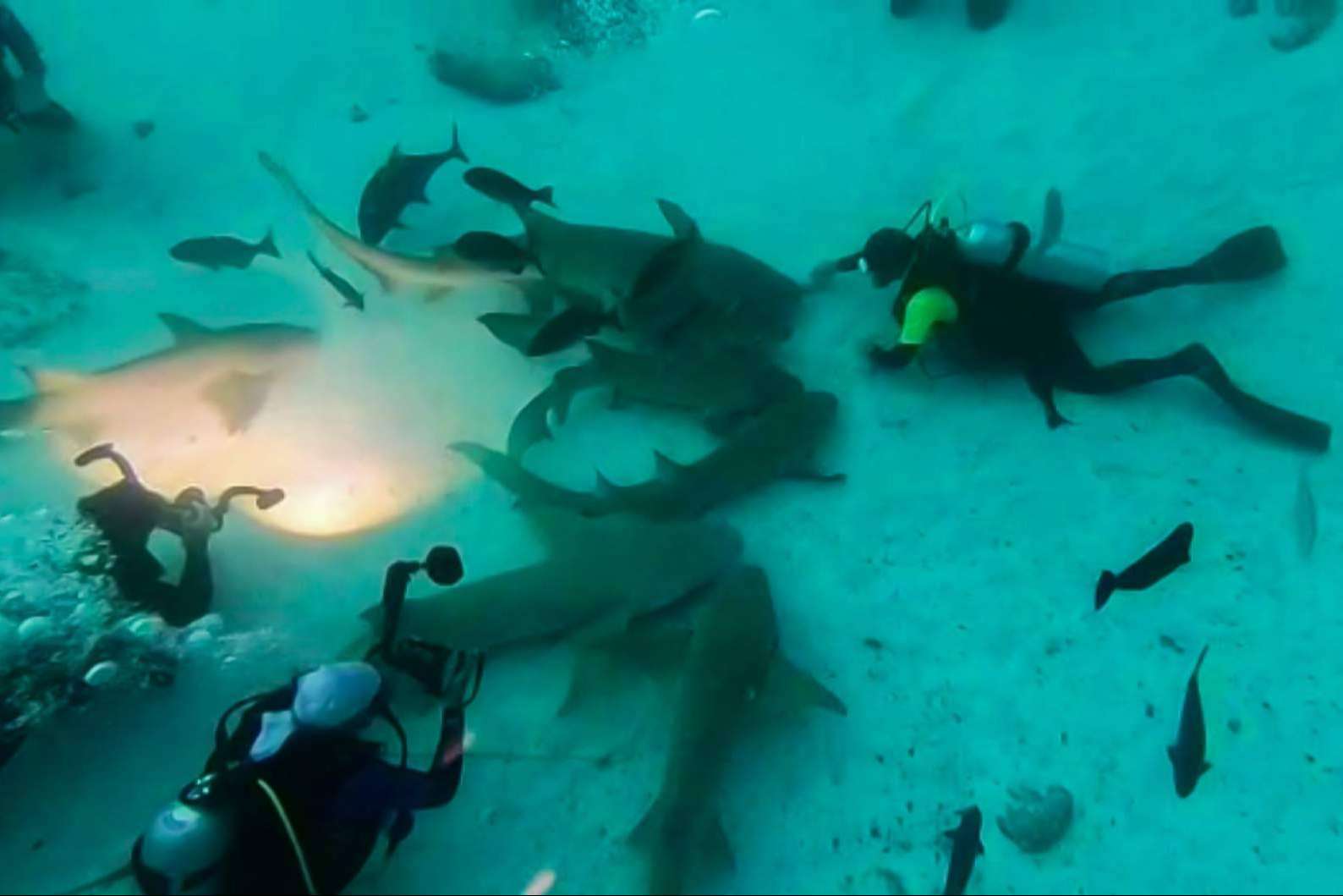 Drop Dive Maldives, escuela de buceo con españoles en el paraíso del buceo