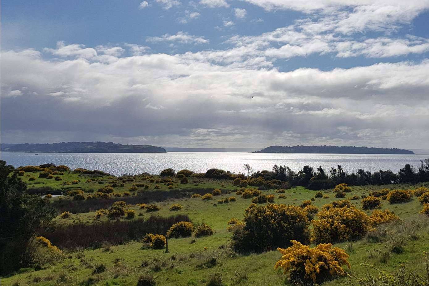 Latitudes Australes da a conocer Chiloé, una tierra llena de oportunidades