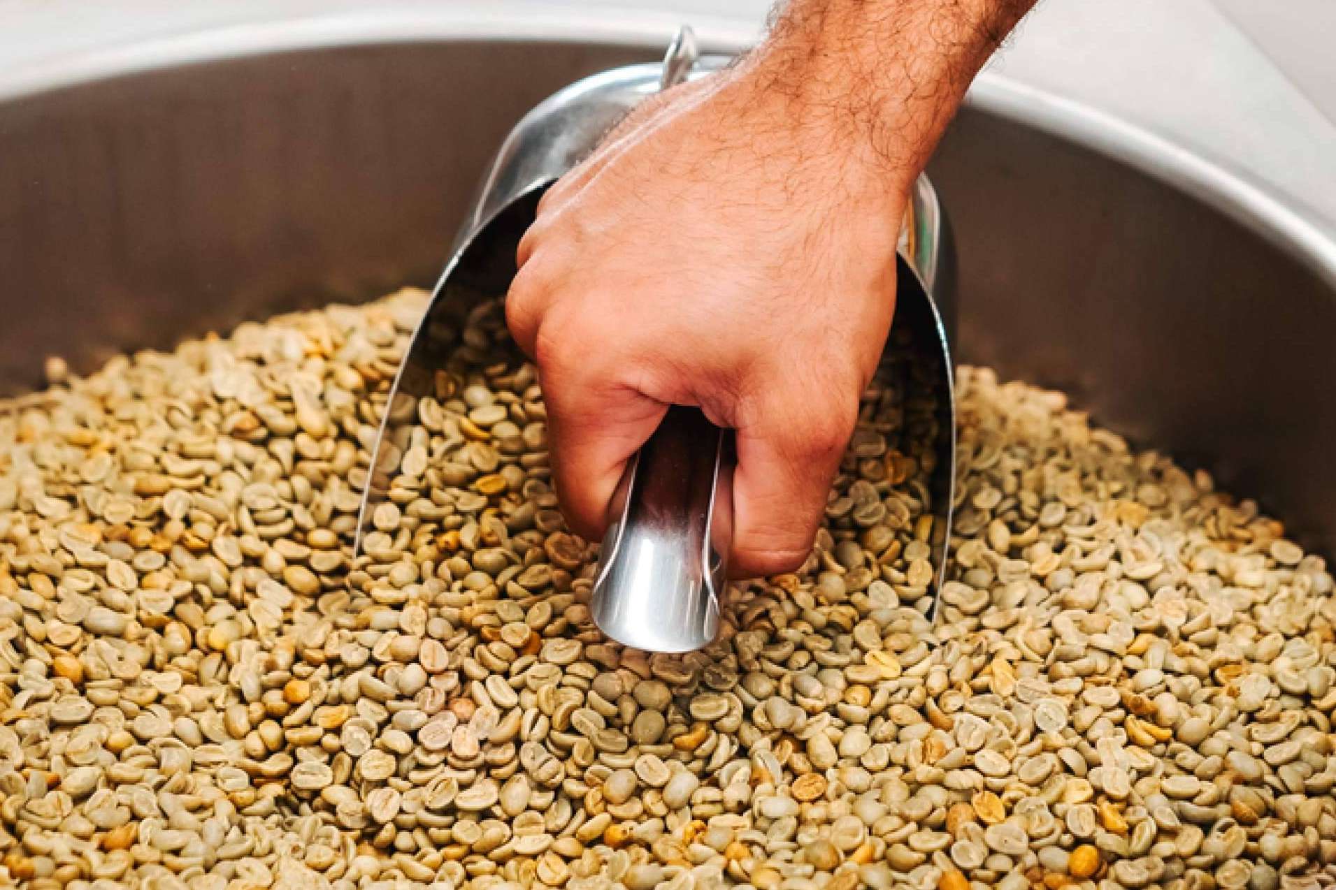 Transformar la cultura del café en España con el proyecto D·Origen Coffee Roasters