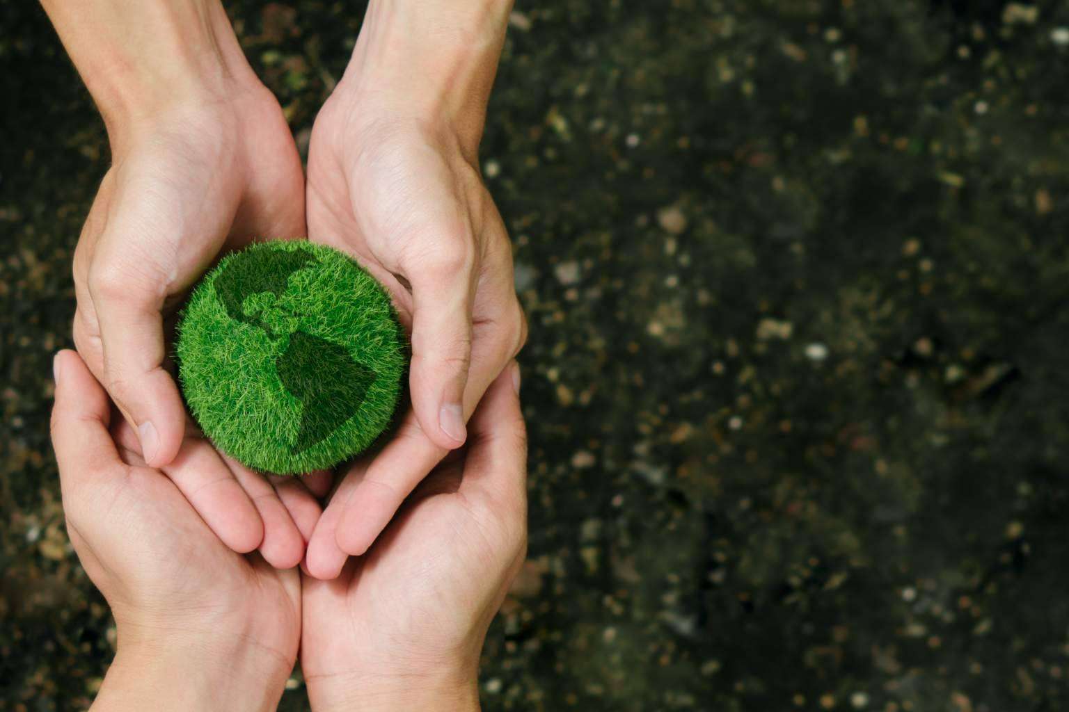 La página web de Verdú se encuentra certificada como web neutra en CO₂