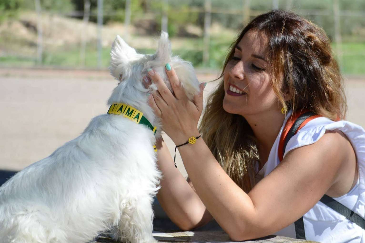 Proteger a la mascota con las chapas y collares personalizadas de Seron