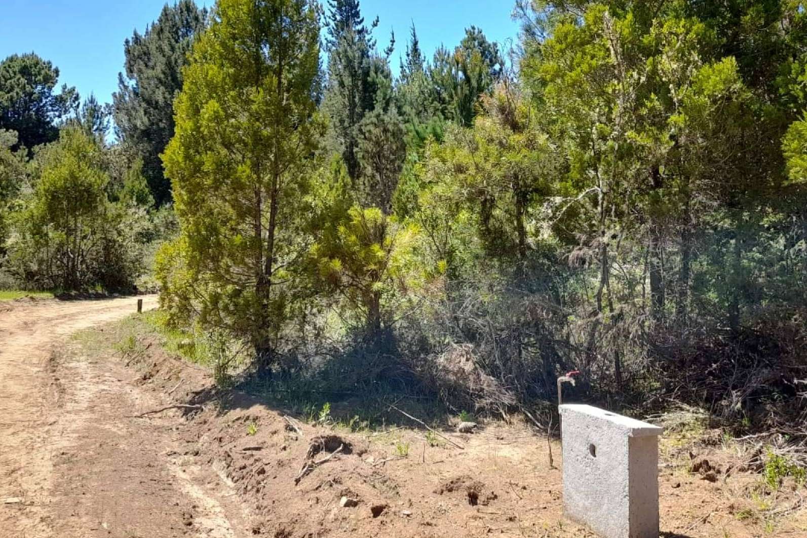 Parcelas con acceso exclusivo al Embalse Digua, de la mano de Parcelas Escobar