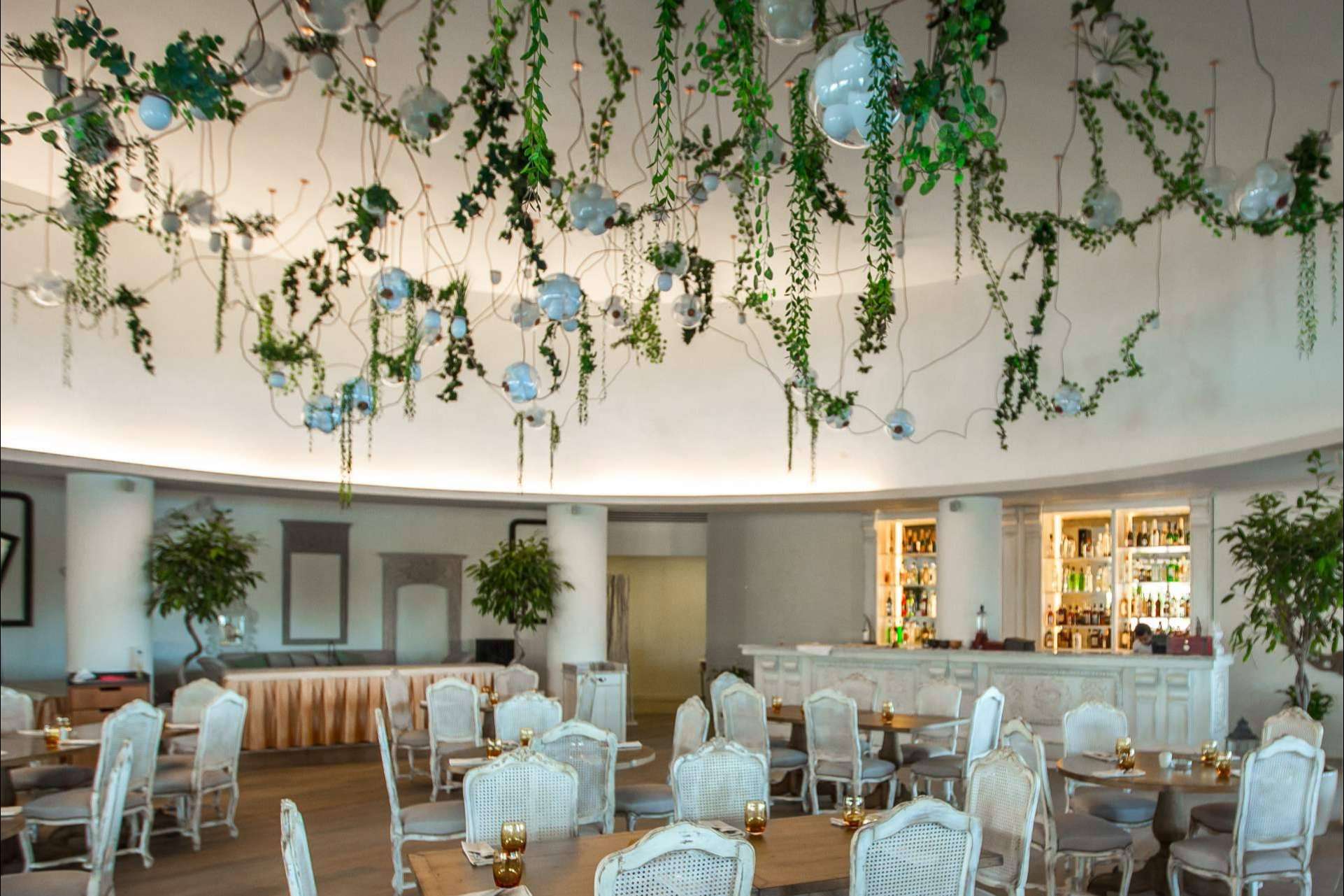 Roses to Love, la biofilia y el arte de lo preservado para la decoración de espacios
