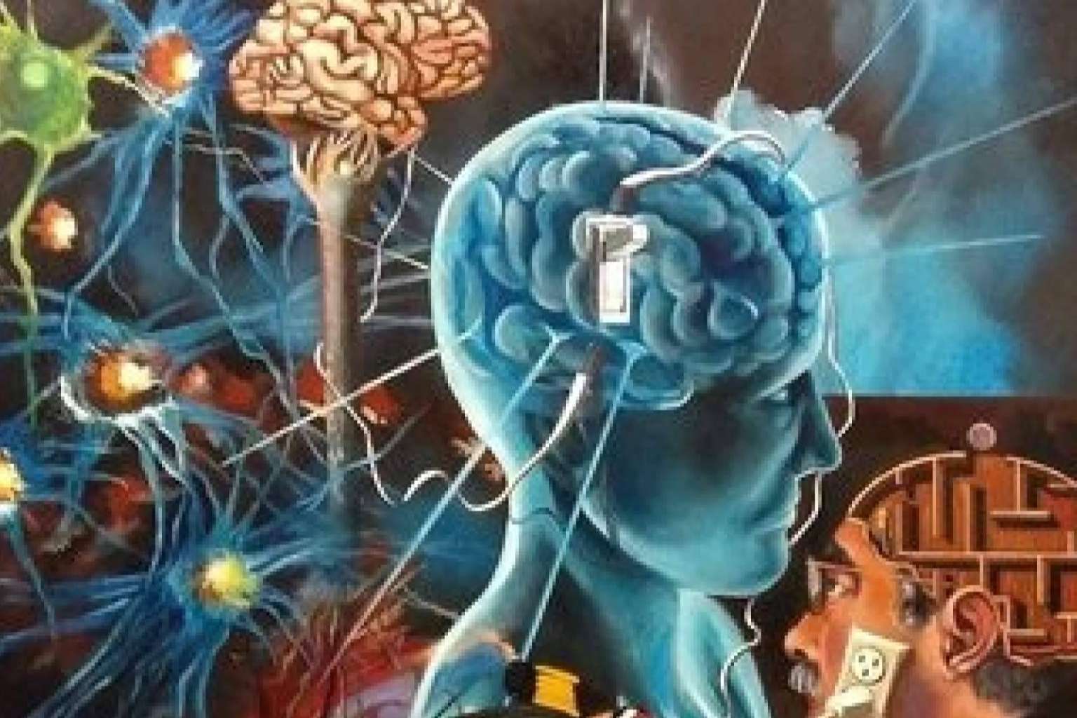 El gran misterio, el cerebro