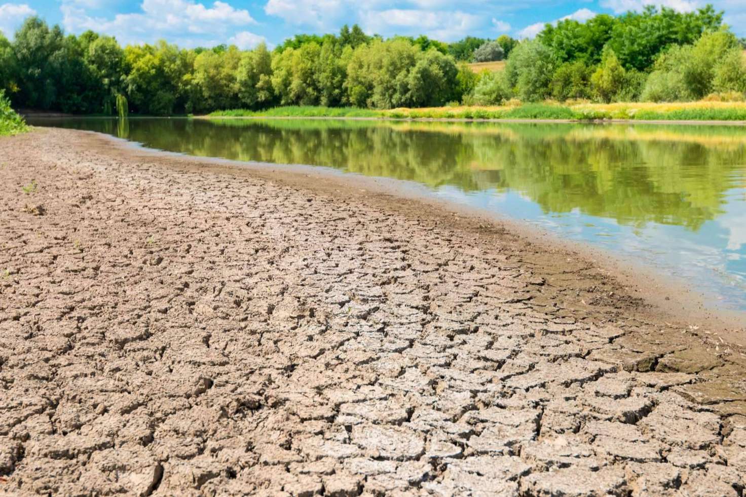 ¿Cómo son los sistemas de tratamiento de aguas pluviales con los que cuenta Pluvial?
