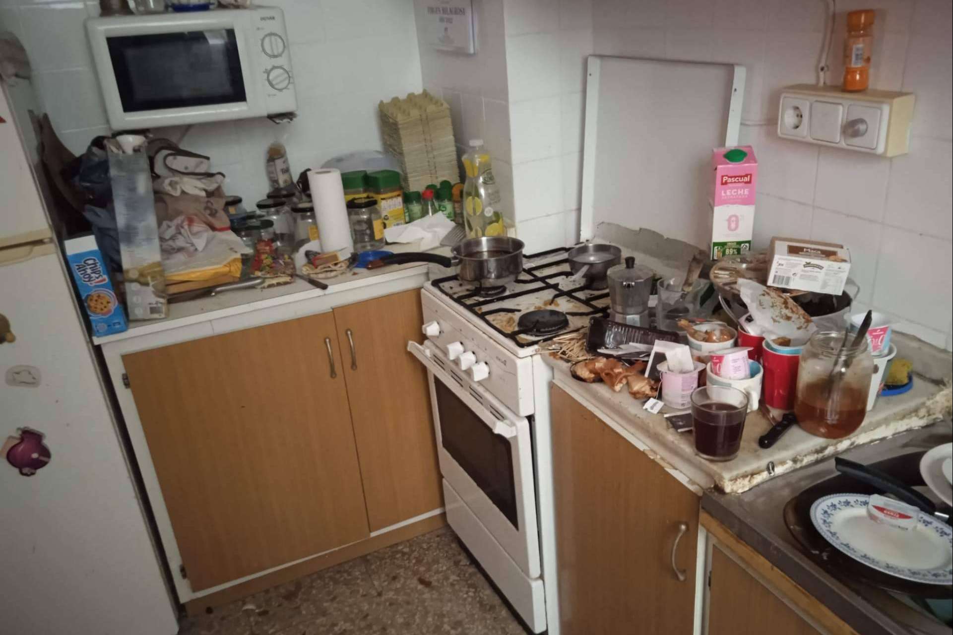 Cientos de kilos de basura, cero miedo; el día a día de los limpiadores extremos