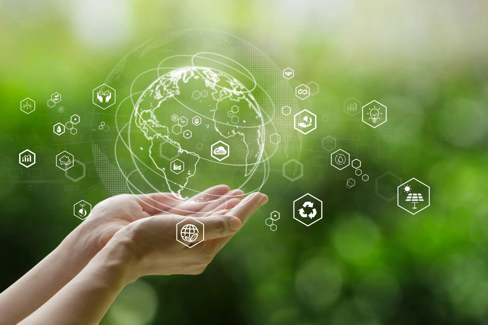 Socionaut, forjando un mundo mejor a través de su consultoría para el desempeño social