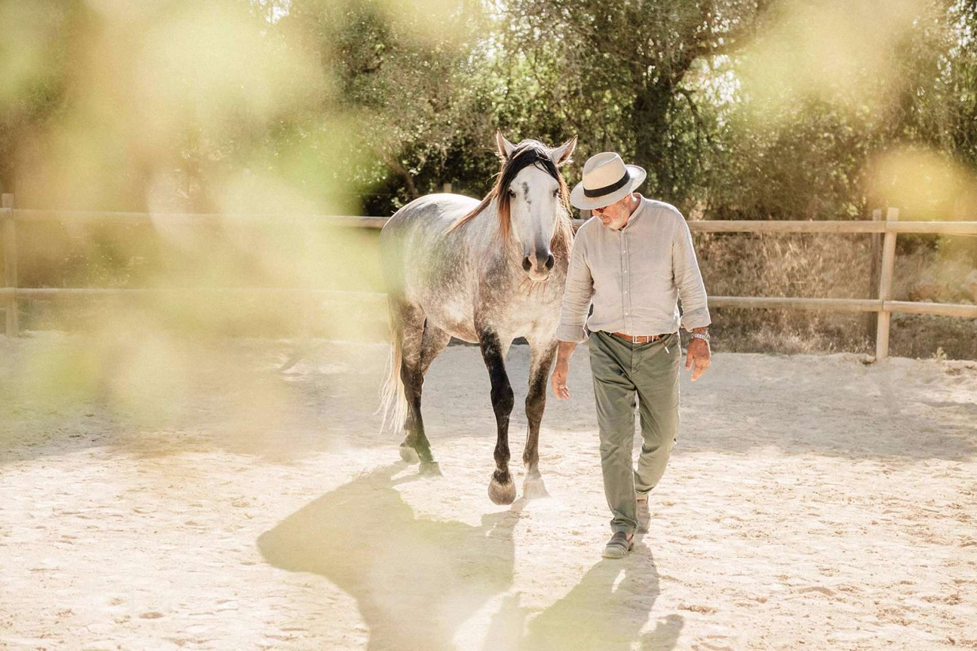 Son Cavalls ofrece coaching asistido con caballos para empresas