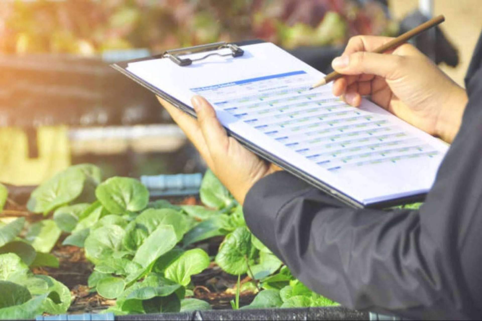 QualitApp, una plataforma de Locatec que simplifica el control de calidad en empresas e industria agroalimentaria